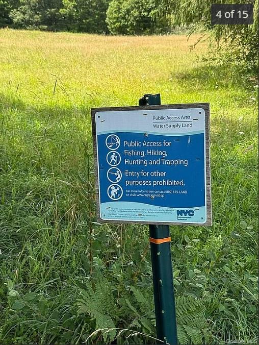 DIMMICK MOUNTAIN Road, Other, NY