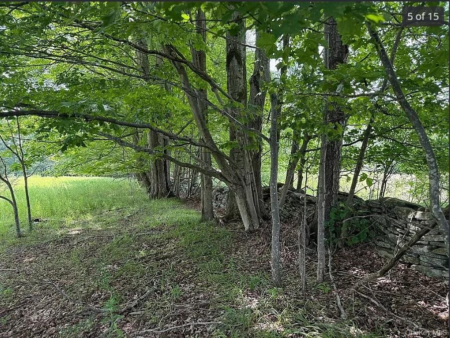 DIMMICK MOUNTAIN Road, Other, NY