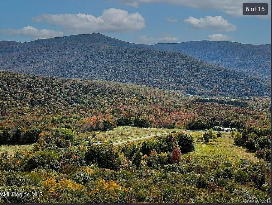 DIMMICK MOUNTAIN Road, Other, NY