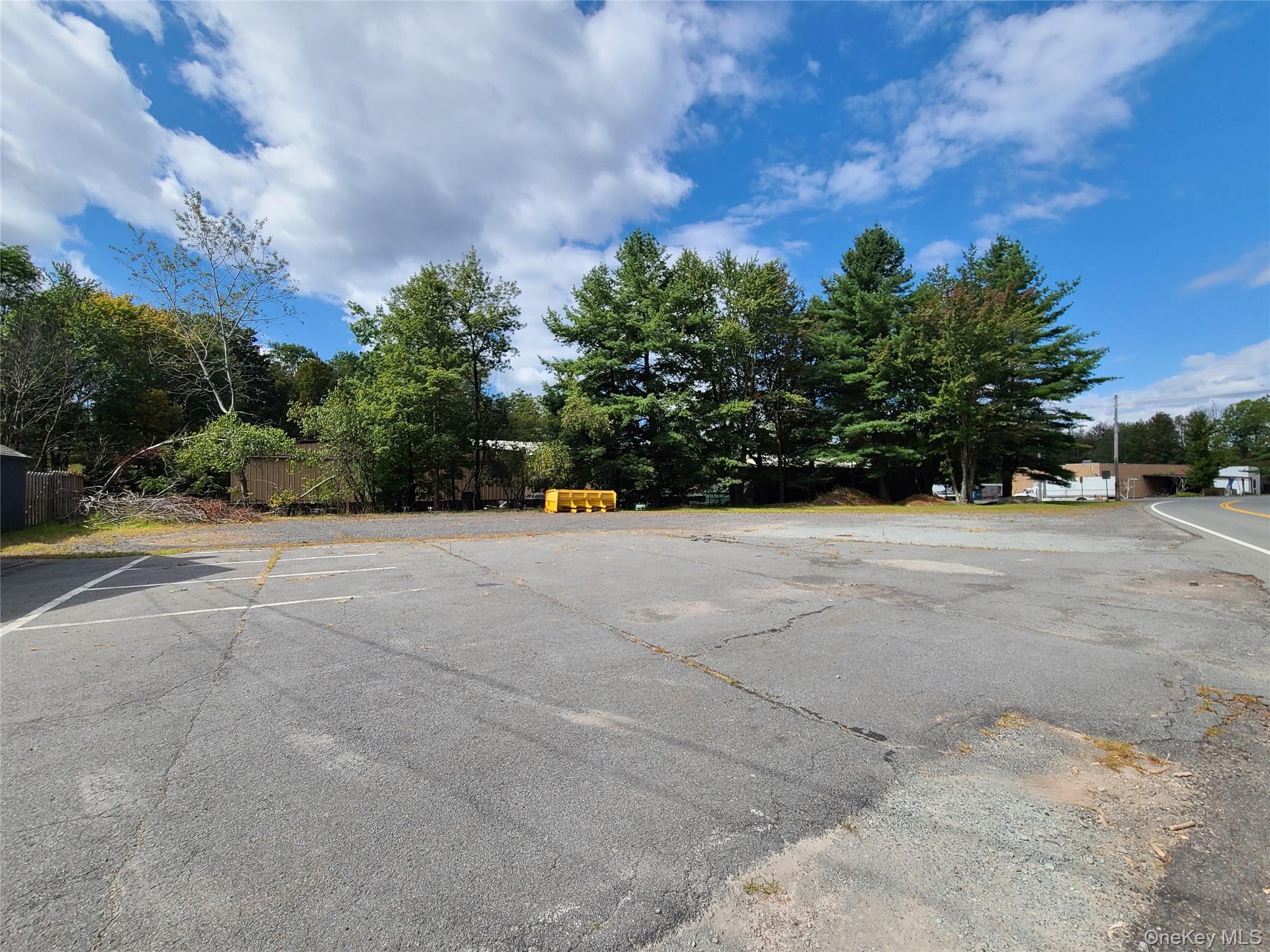 36 Cold Spring Road, Monticello, NY 12701