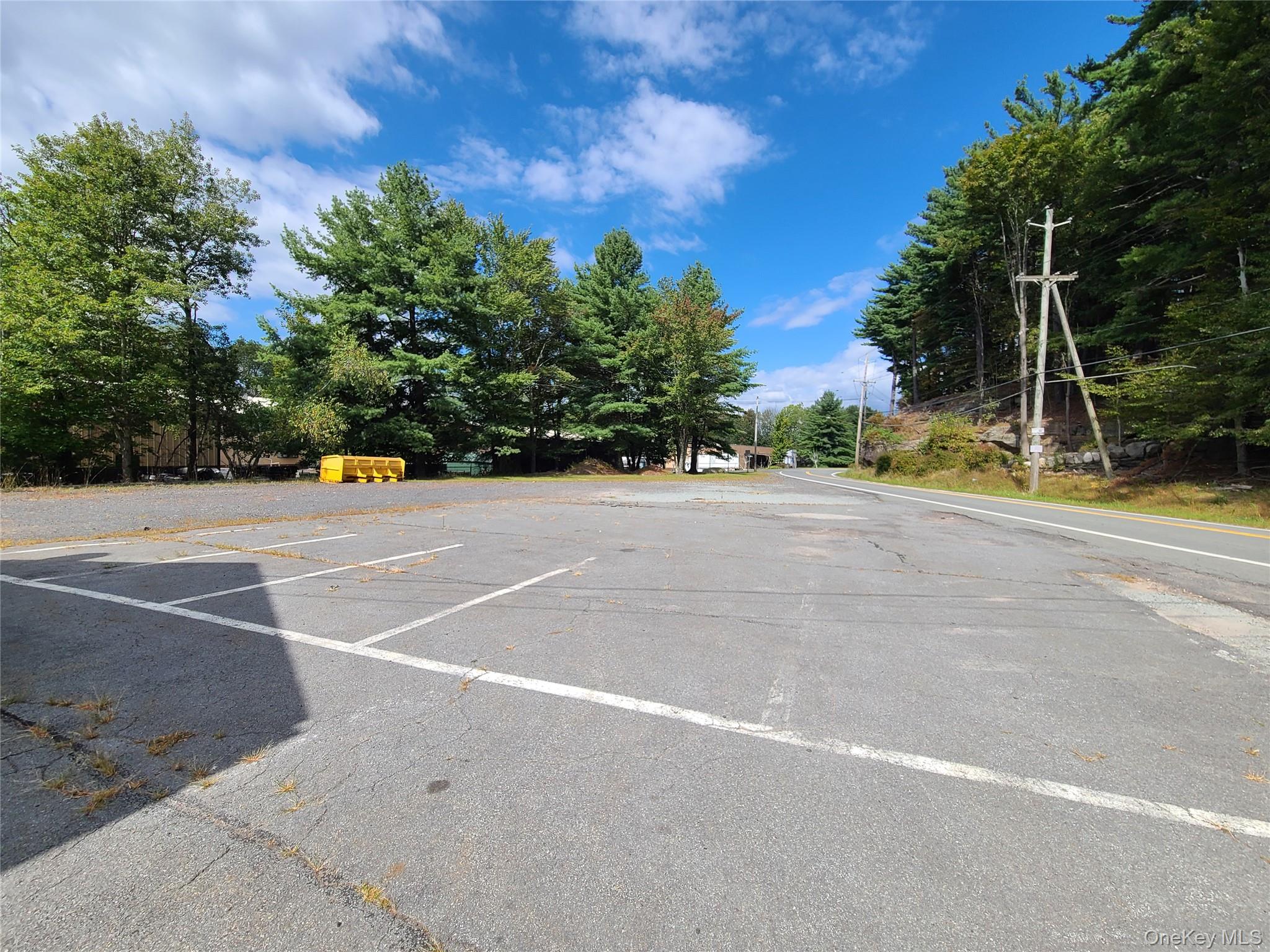 36 Cold Spring Road, Monticello, NY 12701