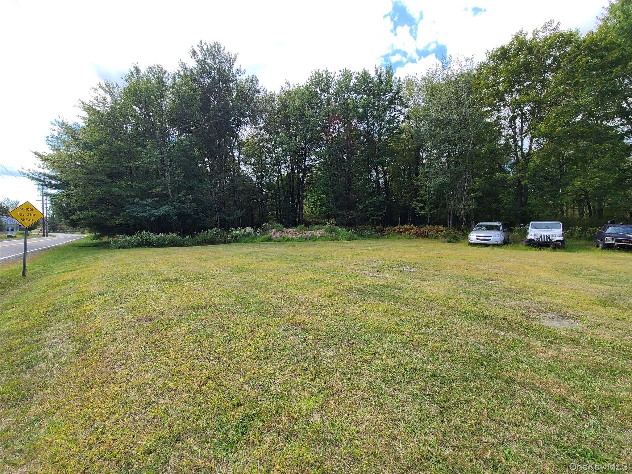 36 Cold Spring Road, Monticello, NY 12701