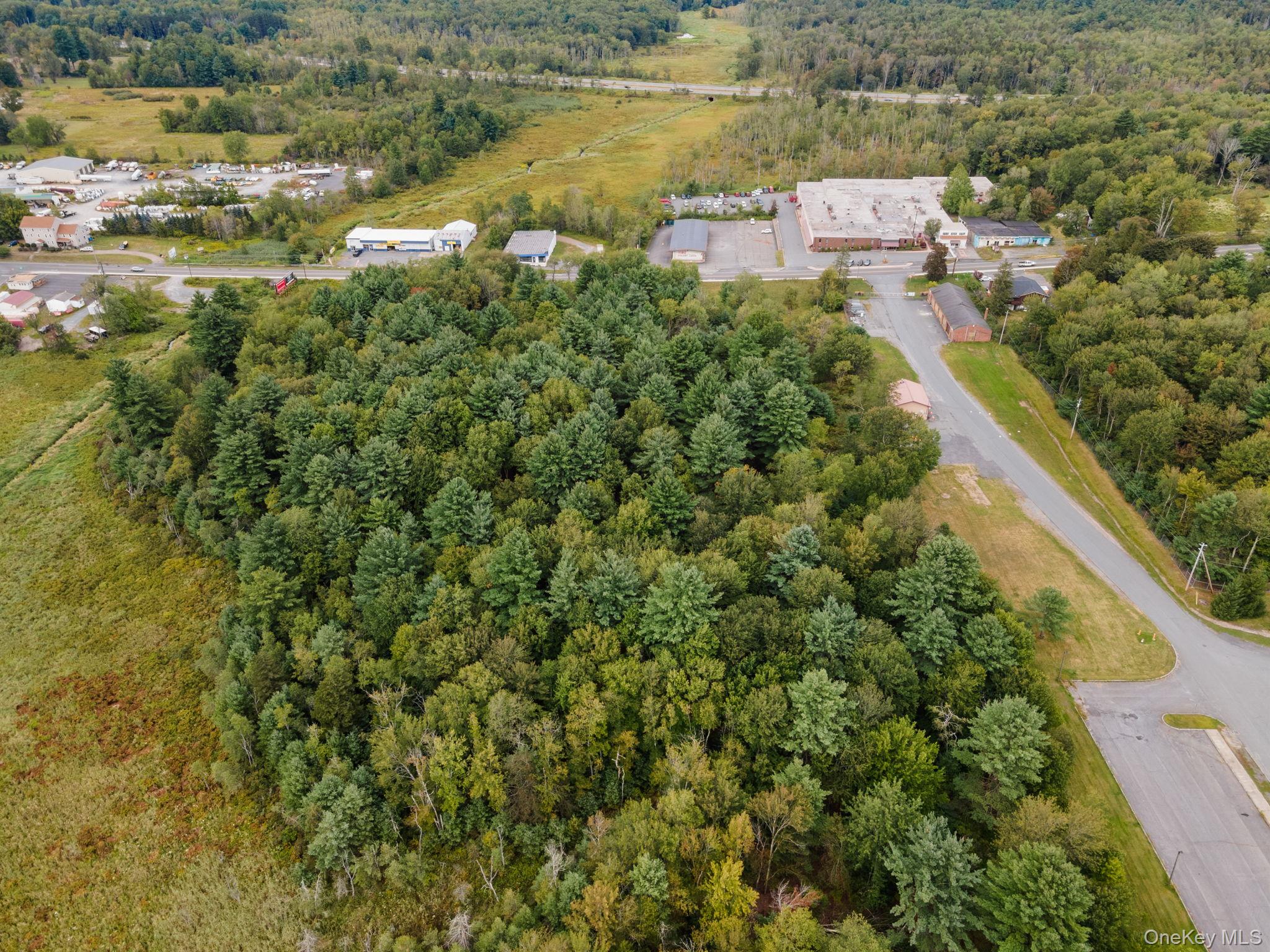 E Broadway, Monticello, NY 12701