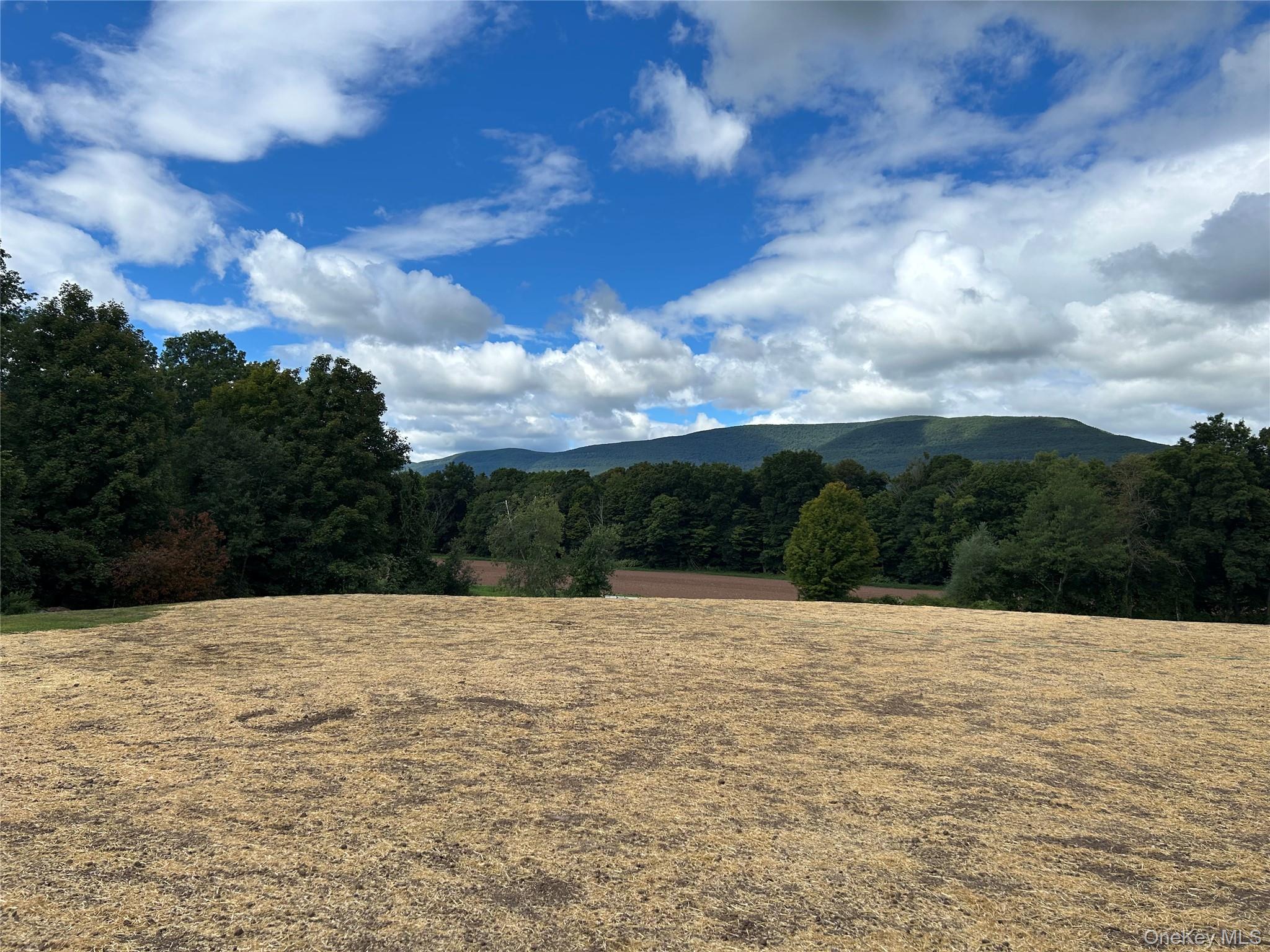 4155 Route 32, Saugerties, NY 12477