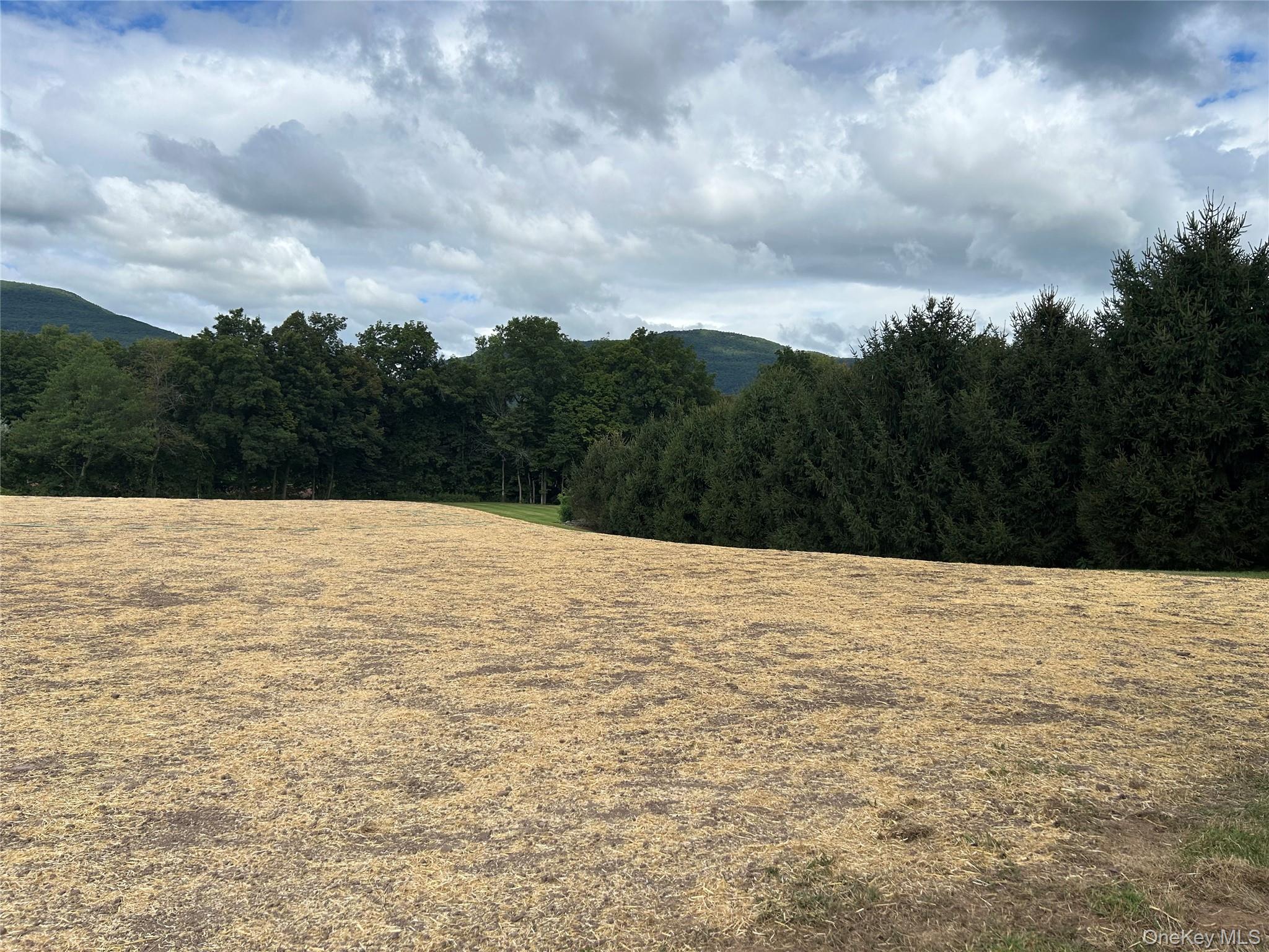 4155 Route 32, Saugerties, NY 12477