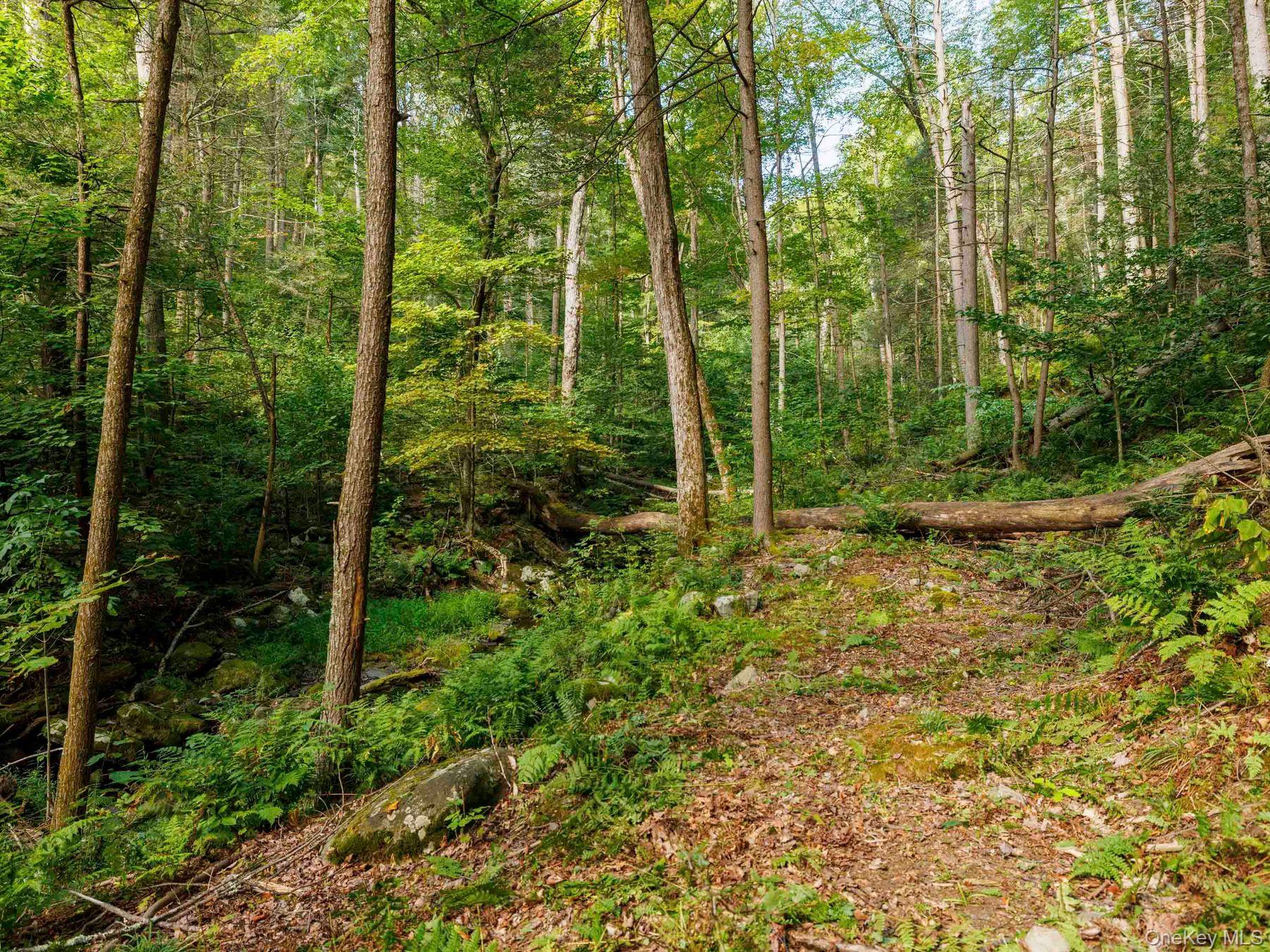 197 Trails End Road, Kerhonkson, NY 12446