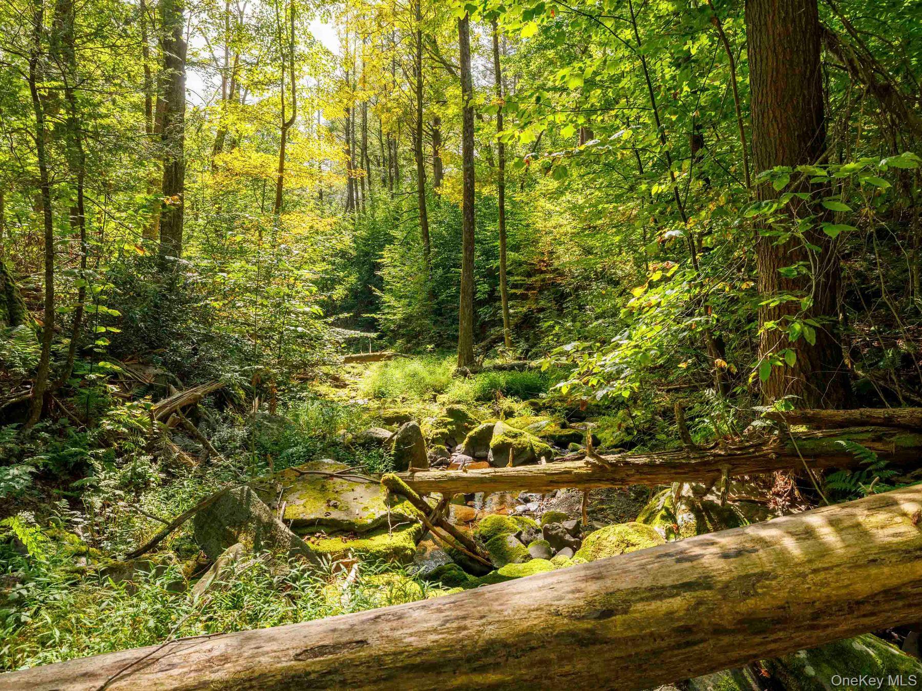 197 Trails End Road, Kerhonkson, NY 12446