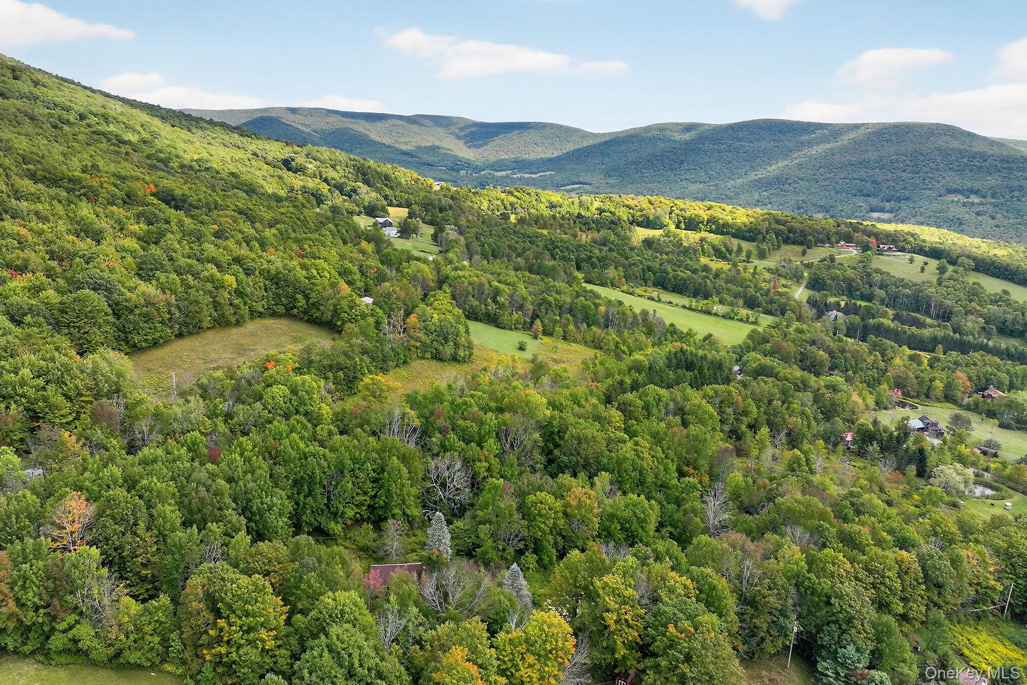 174 Gary Place, Denver, NY 12421