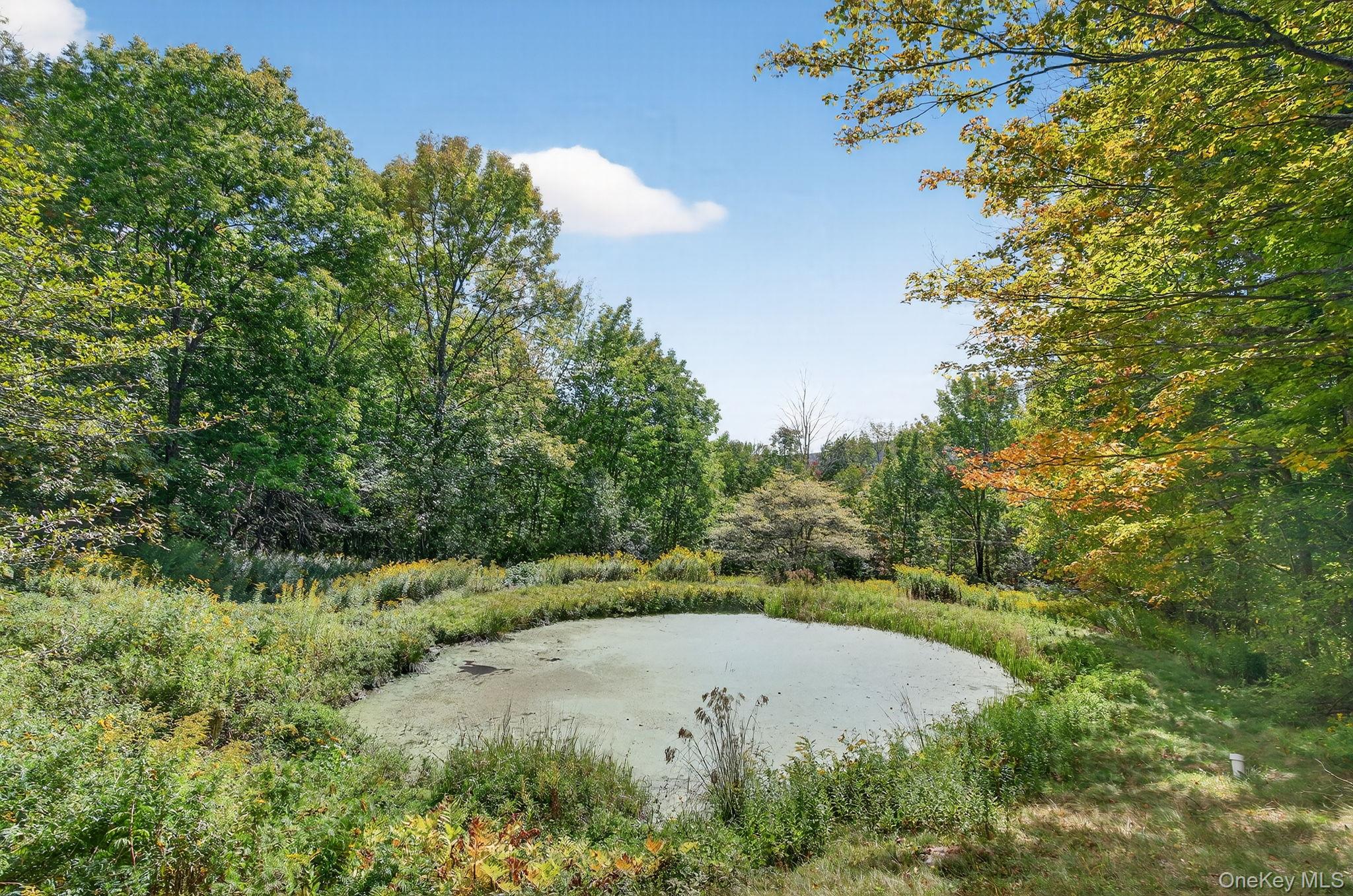 174 Gary Place, Denver, NY 12421