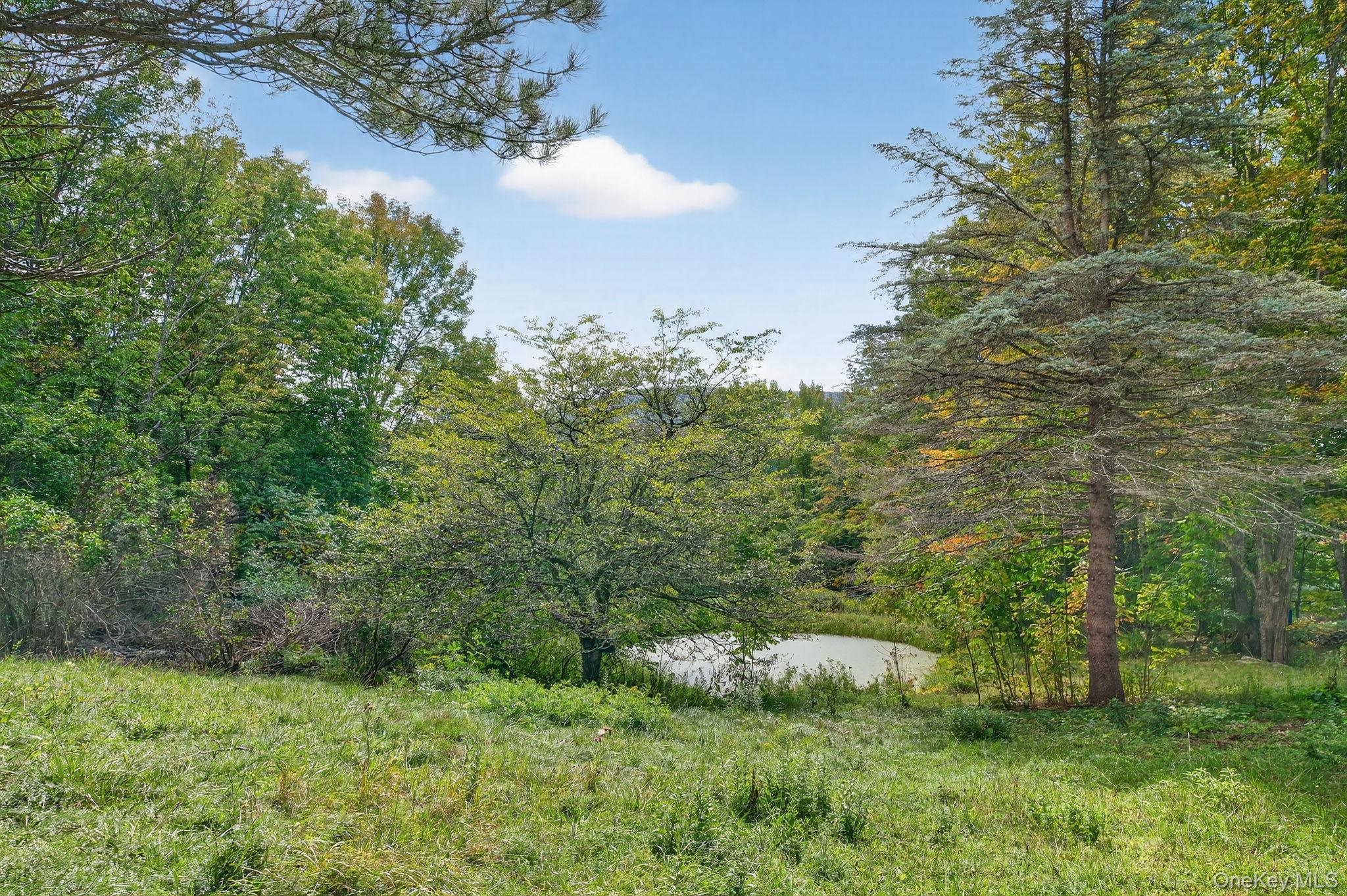 174 Gary Place, Denver, NY 12421