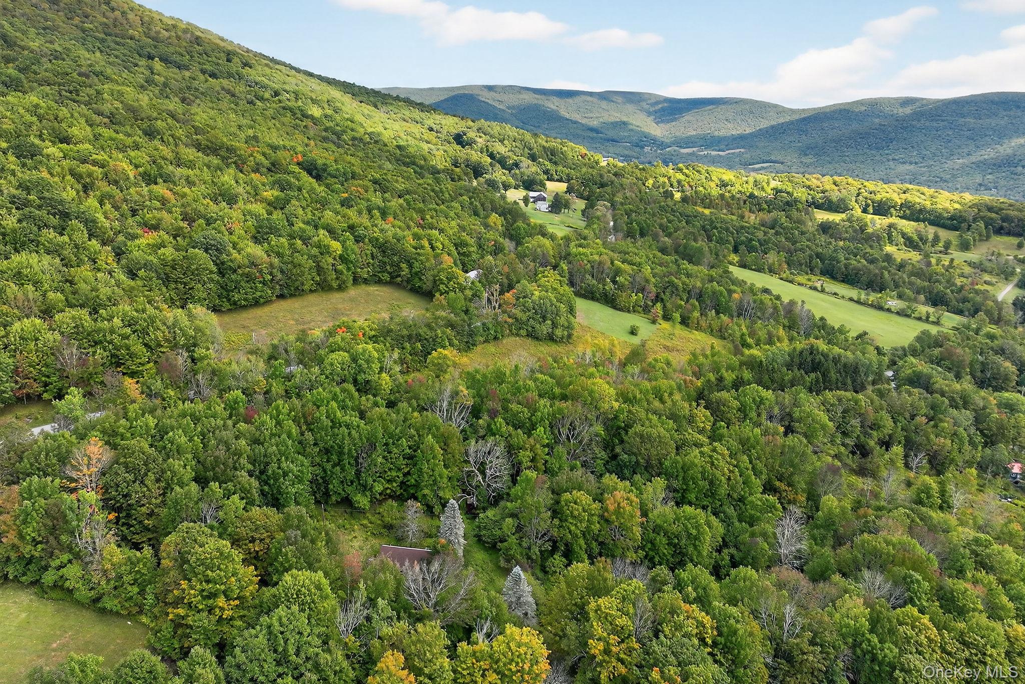 174 Gary Place, Denver, NY 12421