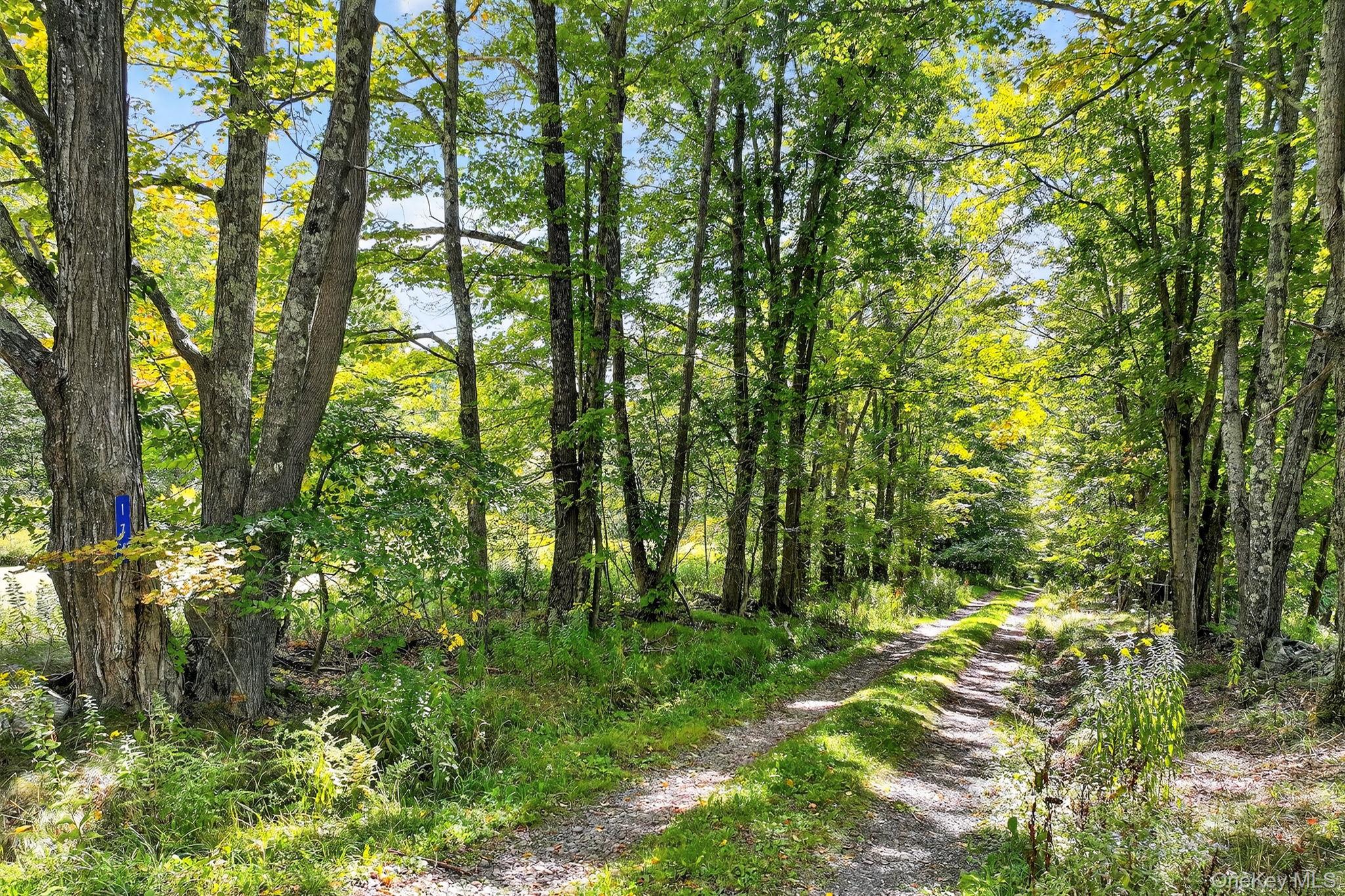 174 Gary Place, Denver, NY 12421