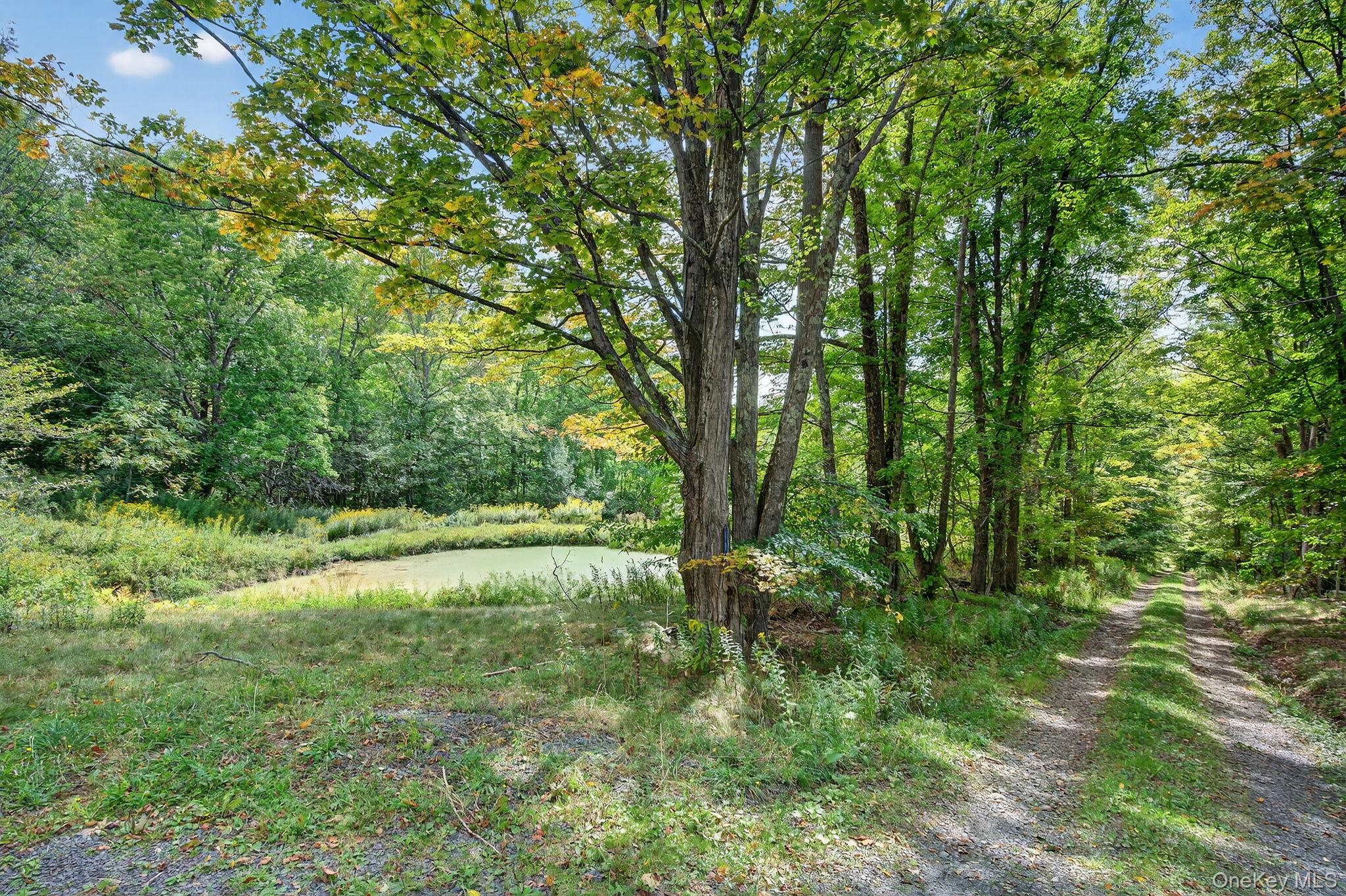 174 Gary Place, Denver, NY 12421