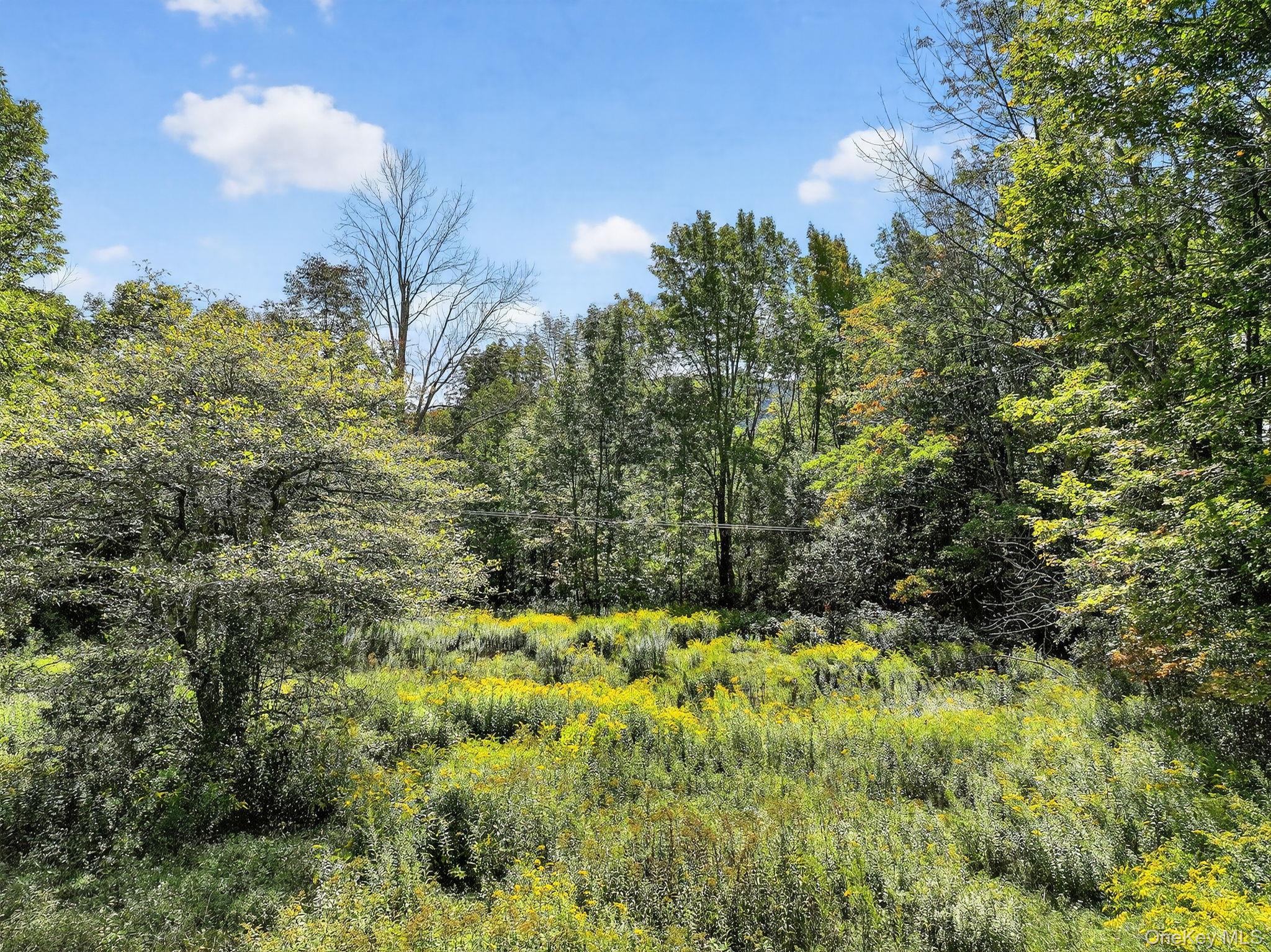 174 Gary Place, Denver, NY 12421