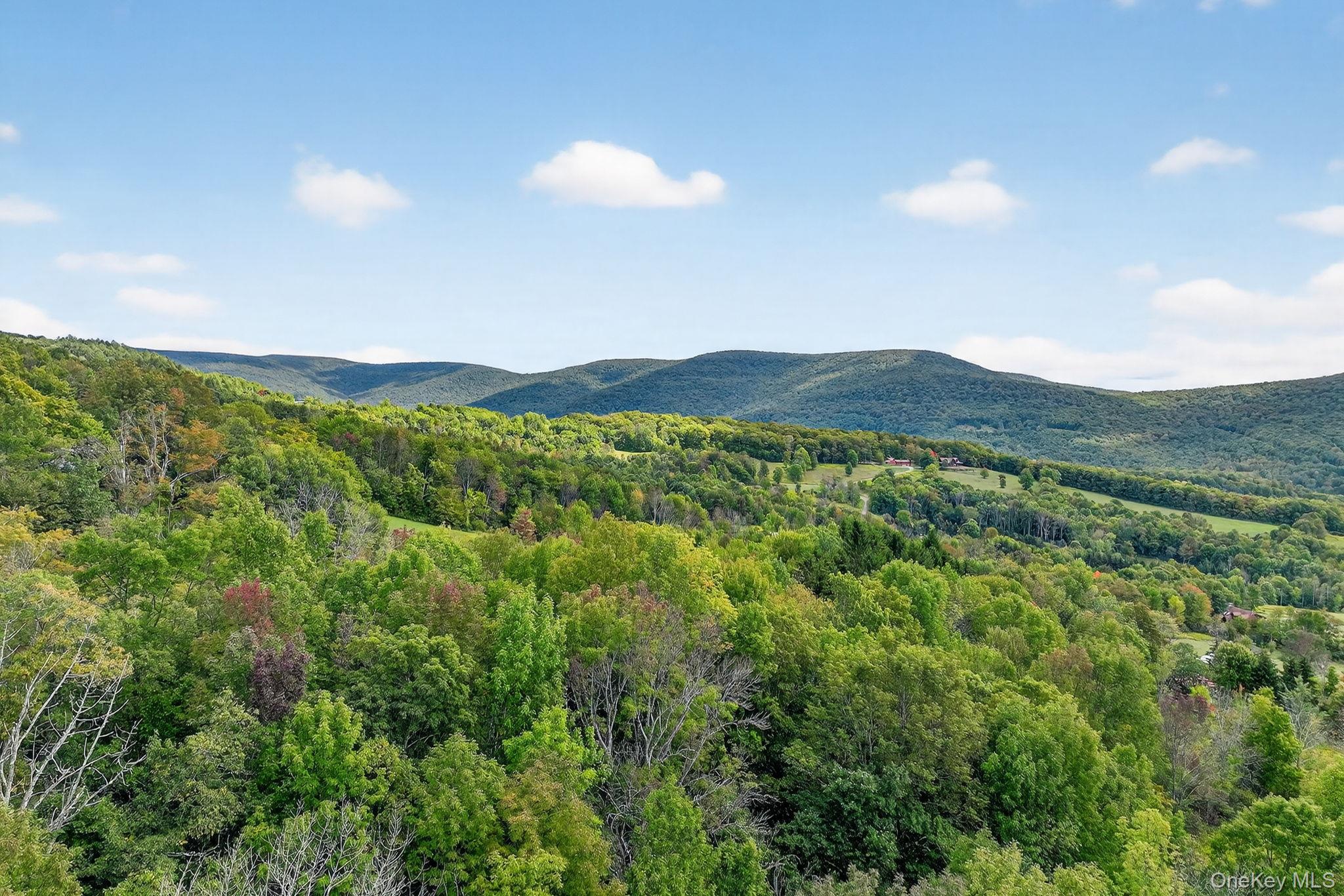 174 Gary Place, Denver, NY 12421