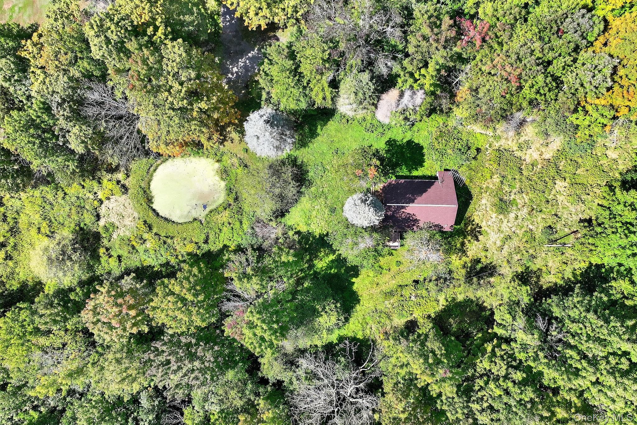 174 Gary Place, Denver, NY 12421