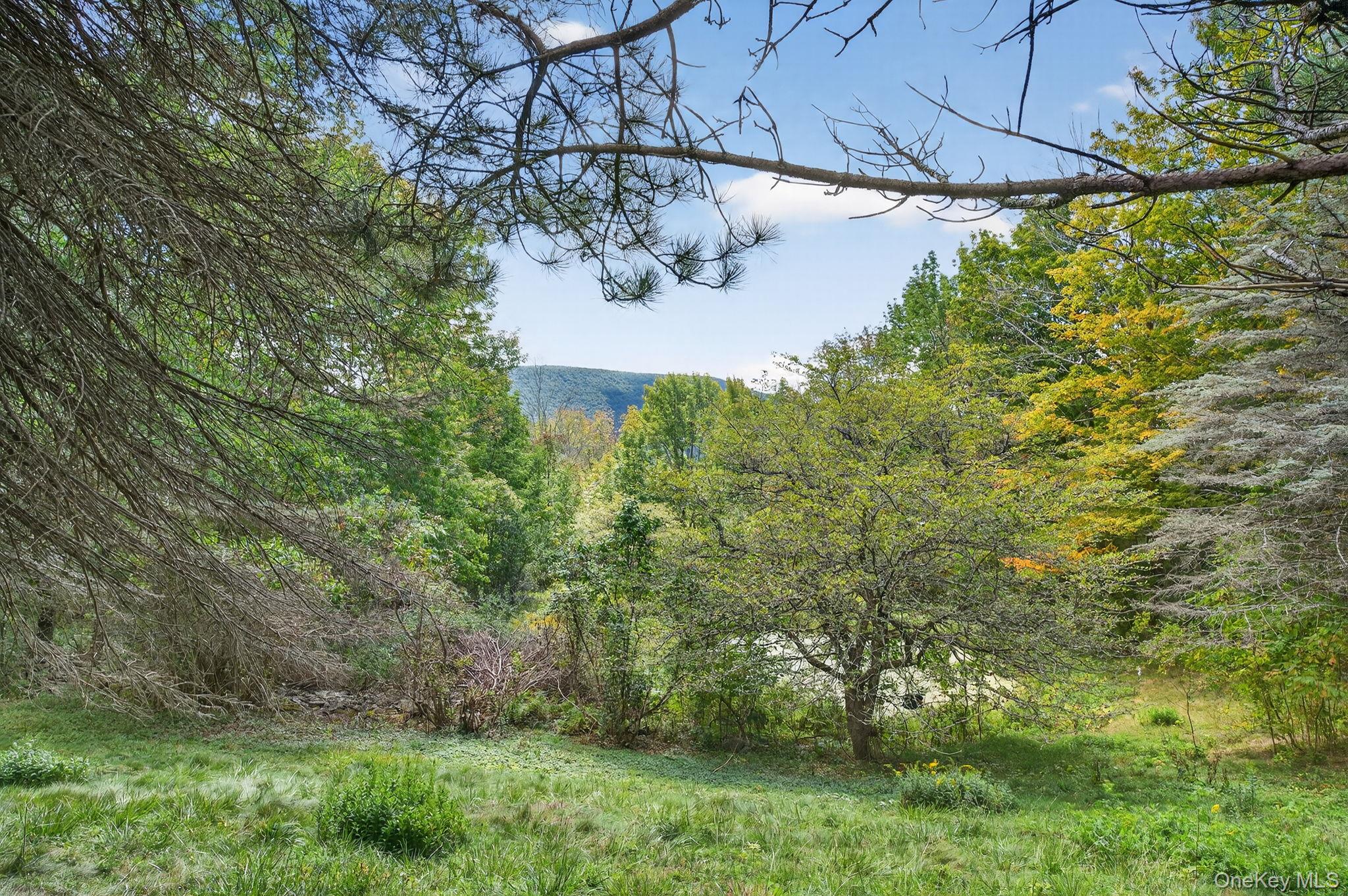 174 Gary Place, Denver, NY 12421