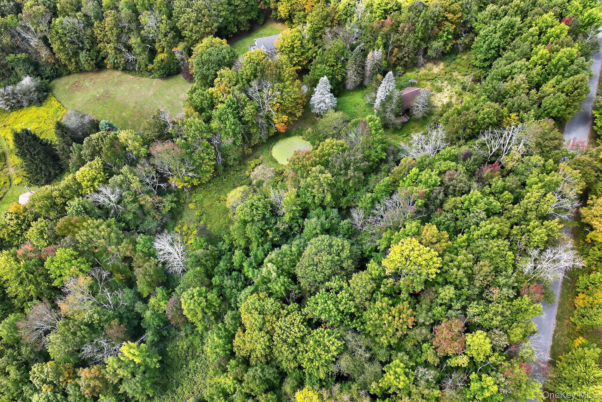 174 Gary Place, Denver, NY 12421