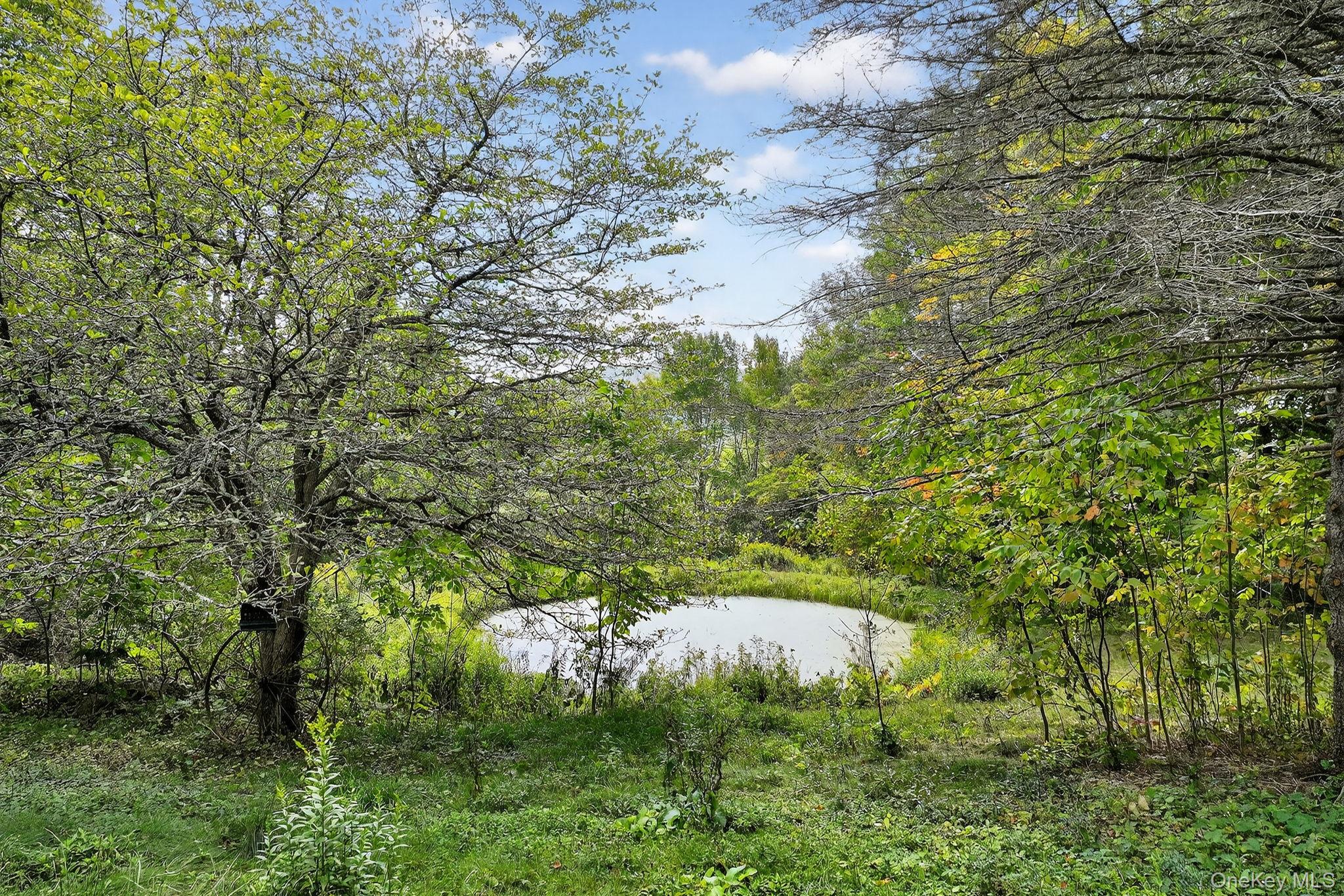 174 Gary Place, Denver, NY 12421