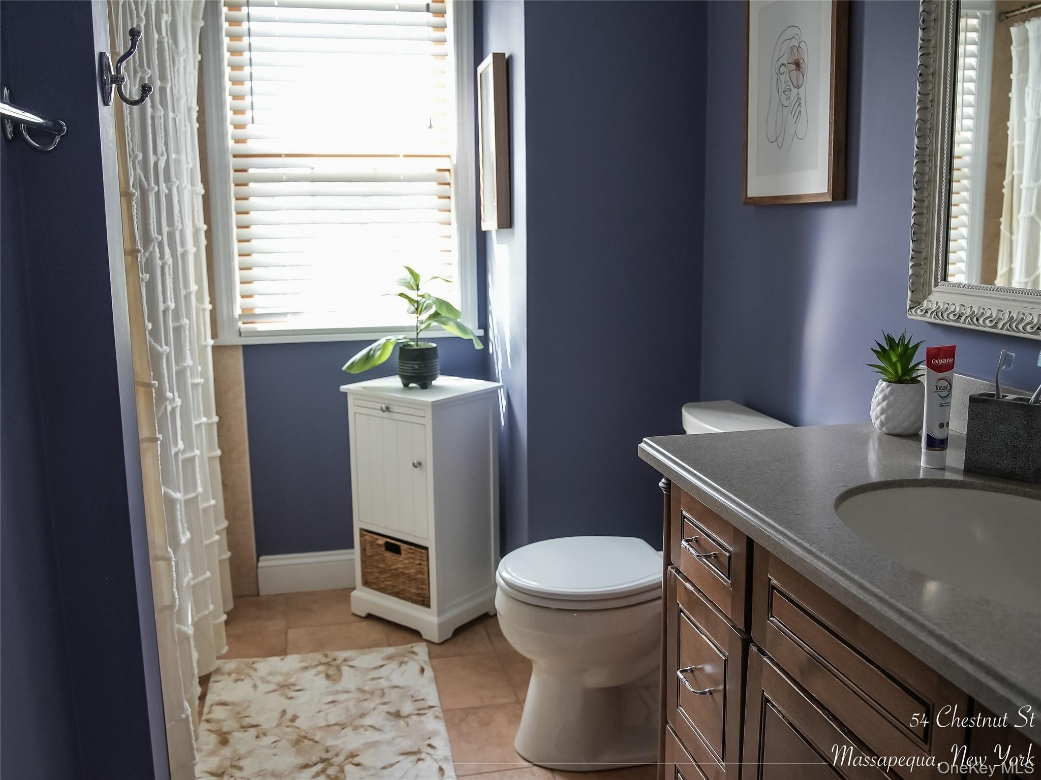 54 Chestnut Street, Massapequa, NY 11758