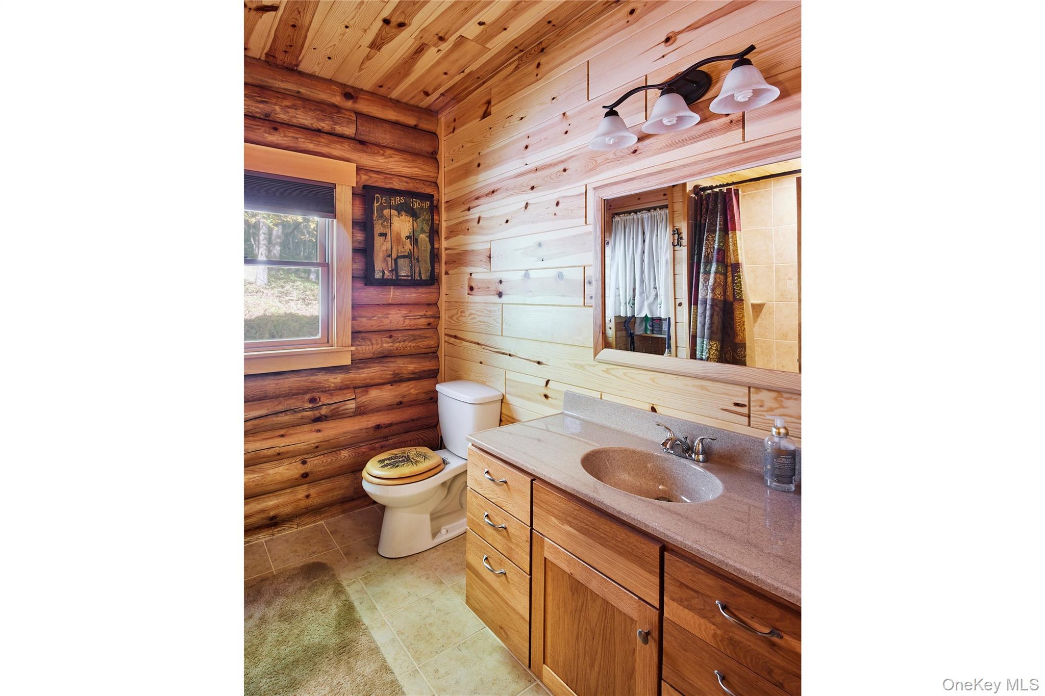 168 Meyer Road, Livingston Manor, NY 12758