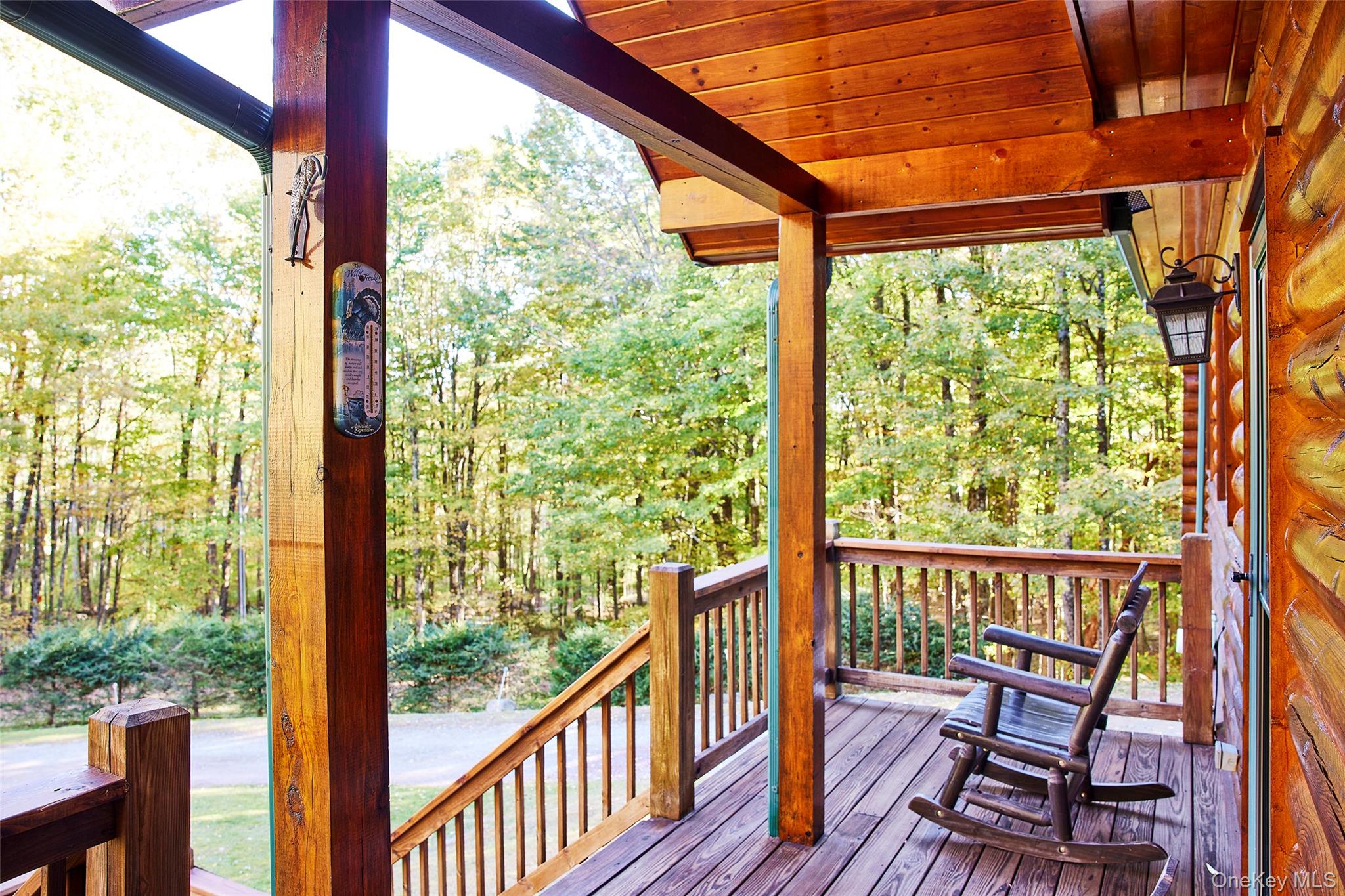 168 Meyer Road, Livingston Manor, NY 12758