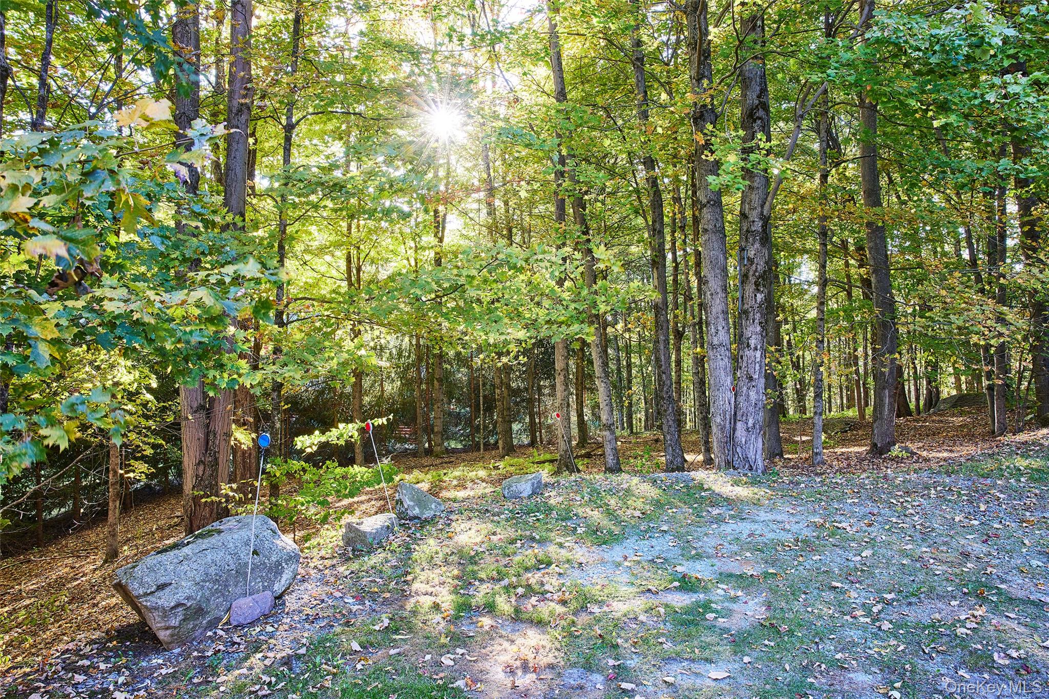 168 Meyer Road, Livingston Manor, NY 12758