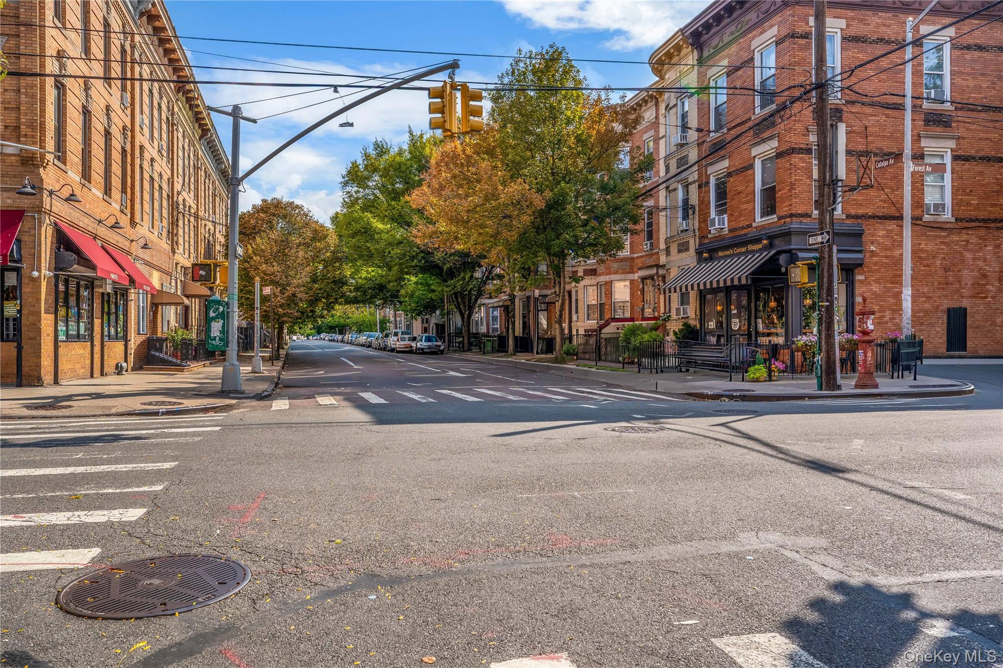 59-05 Catalpa Avenue, Ridgewood, NY 11385