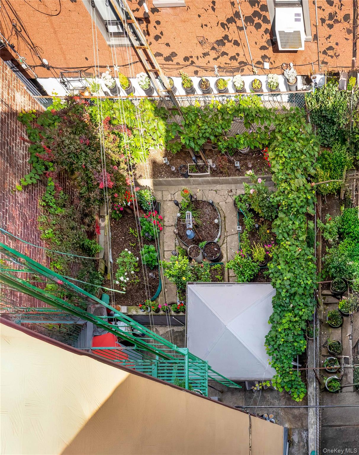 59-05 Catalpa Avenue, Ridgewood, NY 11385