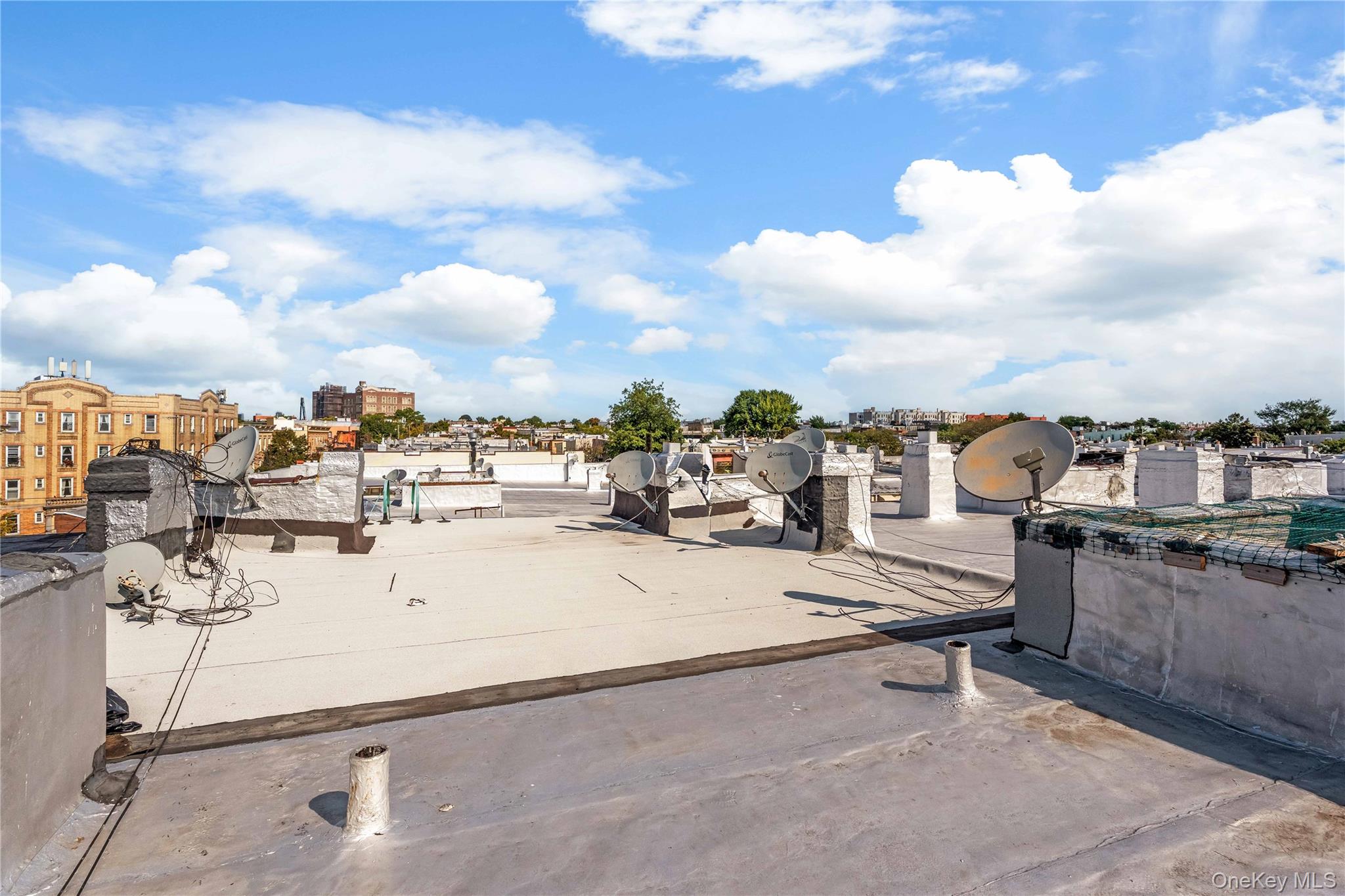 59-05 Catalpa Avenue, Ridgewood, NY 11385