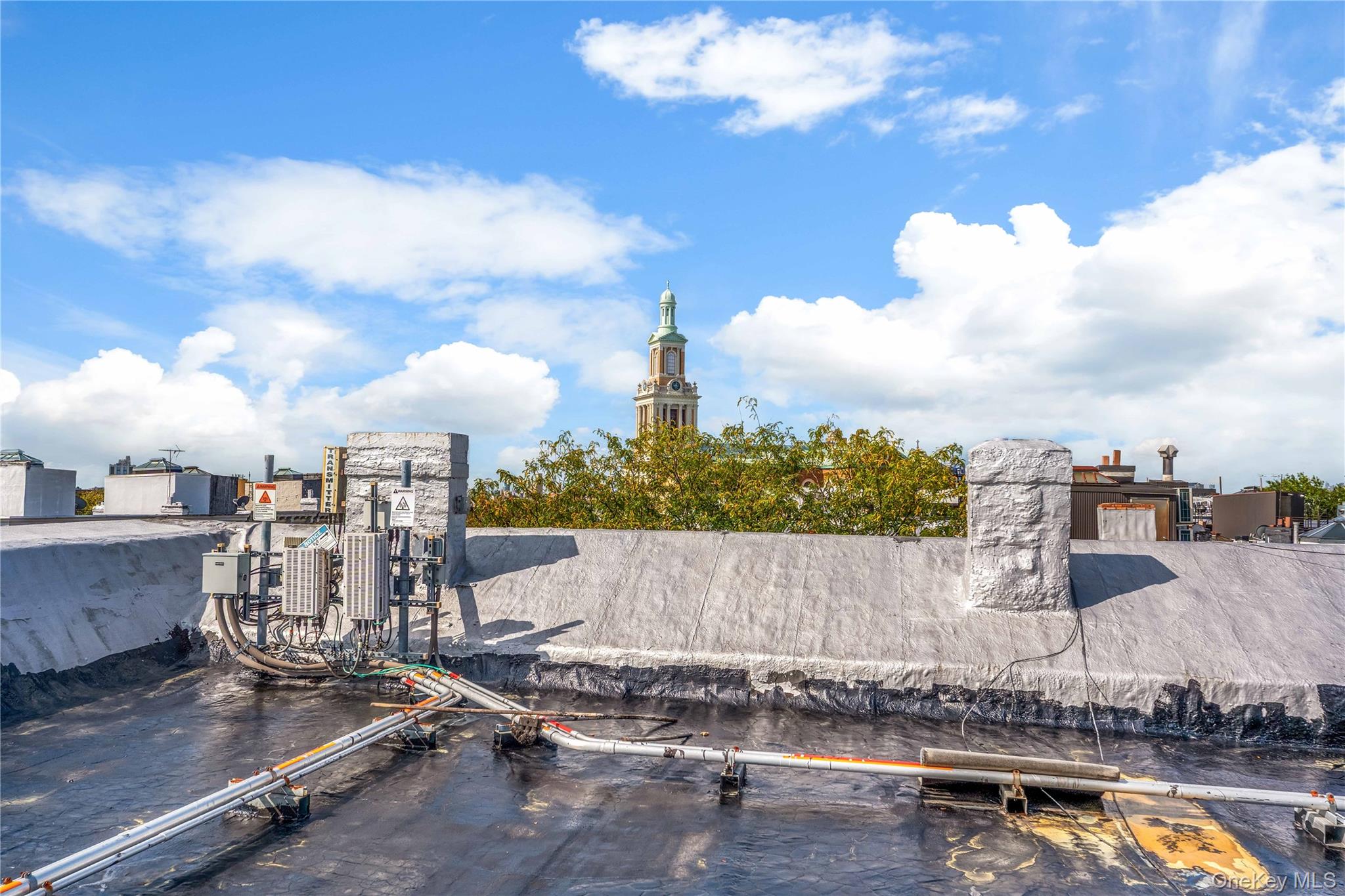 59-05 Catalpa Avenue, Ridgewood, NY 11385