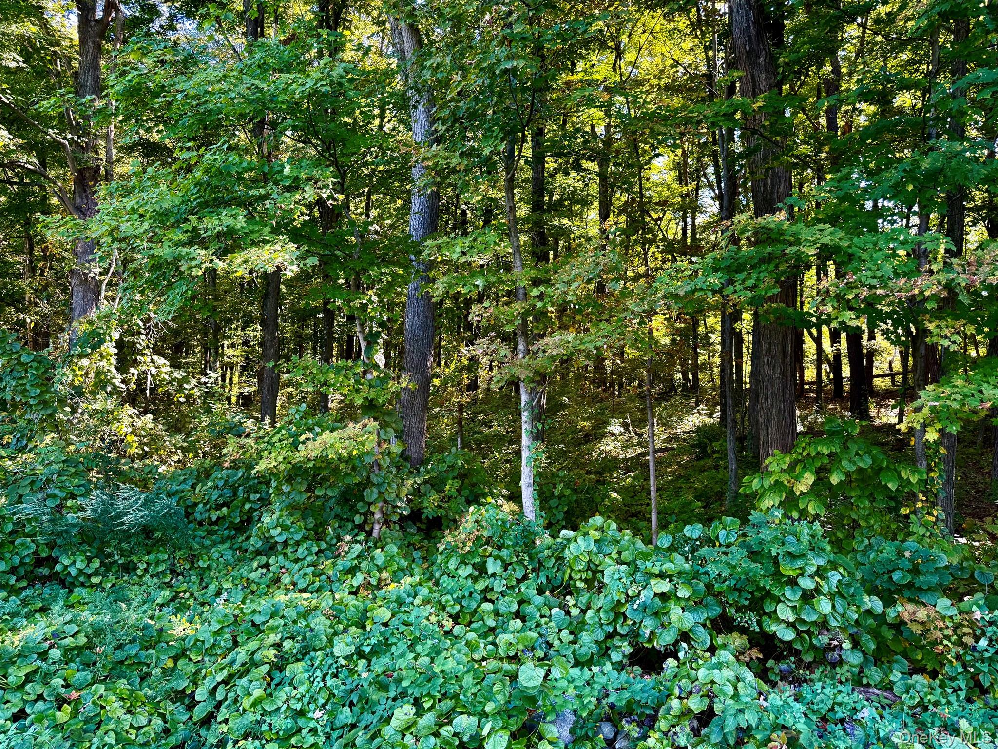 Freedom Road, Lagrangeville, NY 12569