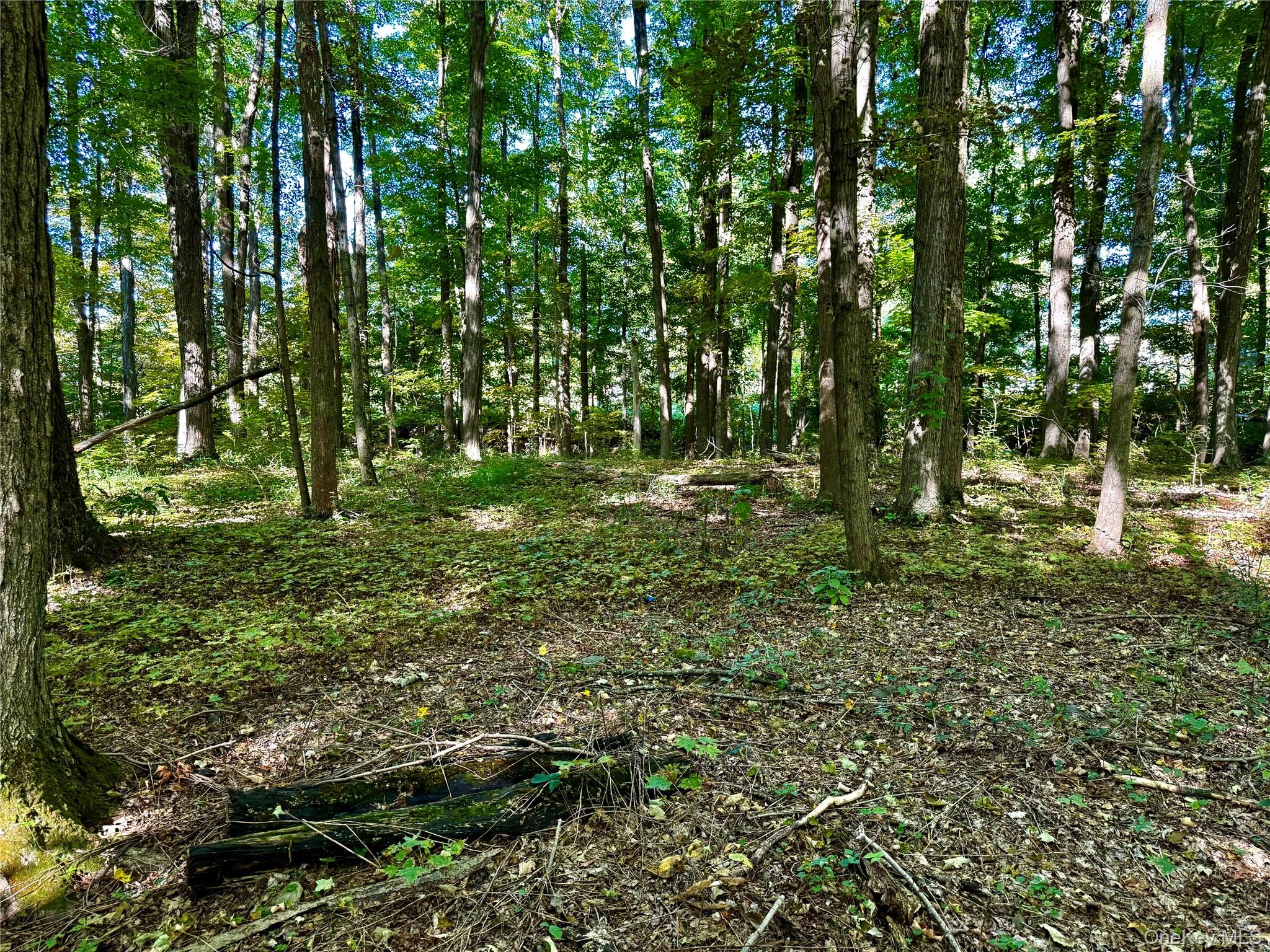 Freedom Road, Lagrangeville, NY 12569