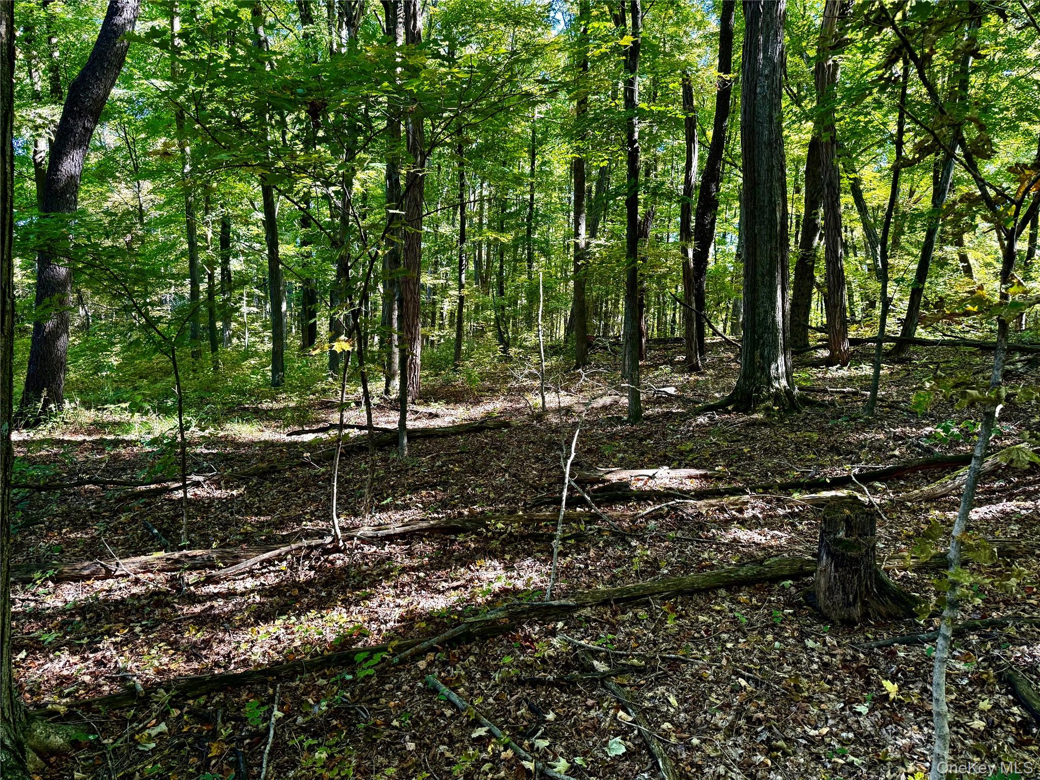 Freedom Road, Lagrangeville, NY 12569