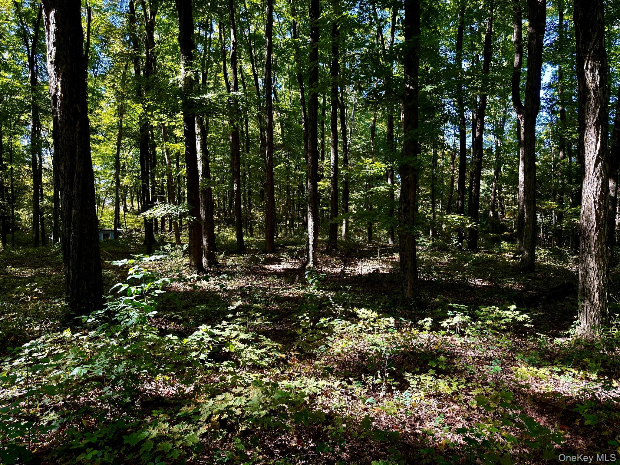 Freedom Road, Lagrangeville, NY 12569