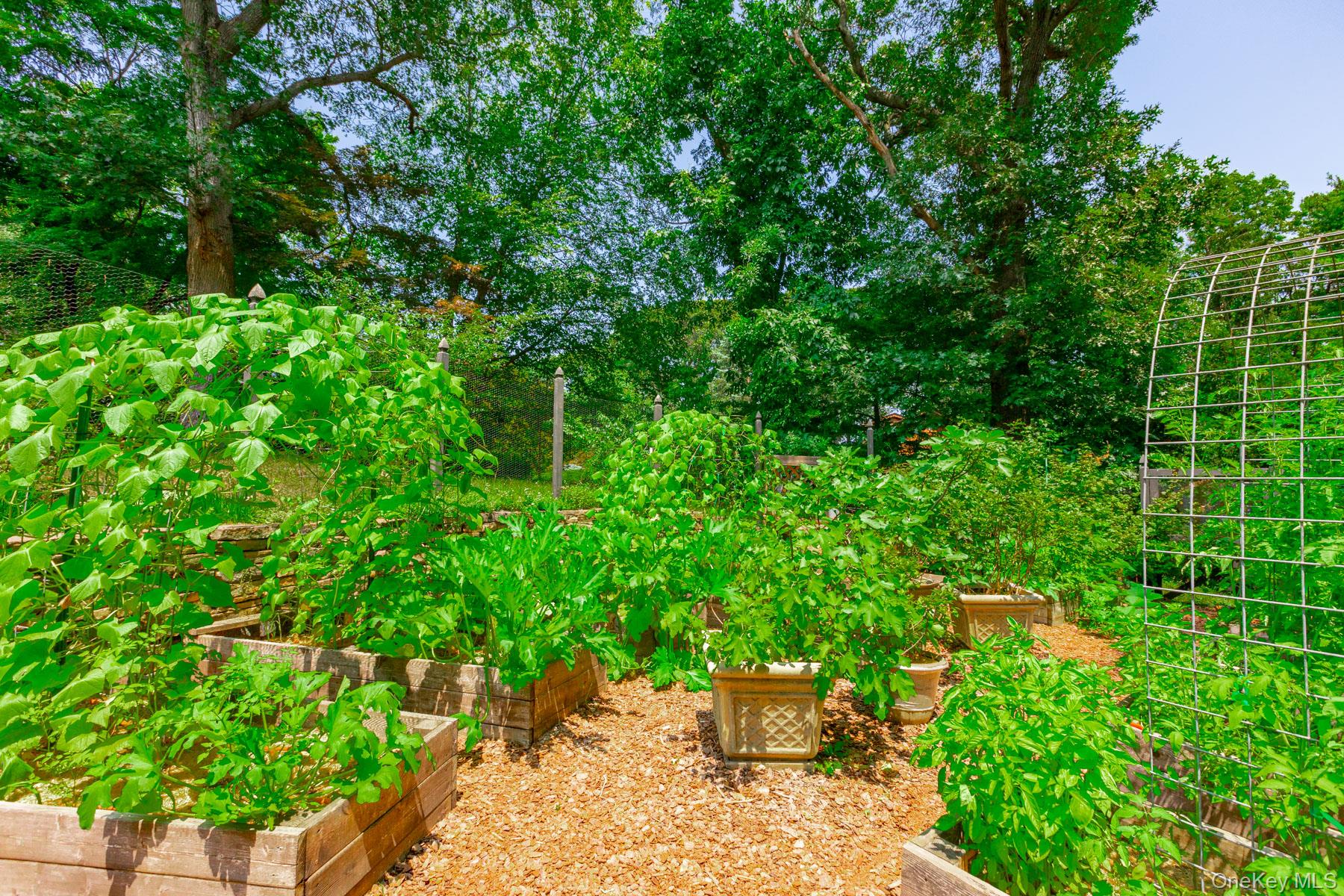 11 Williamsburg Drive, Fort Salonga, NY 11768