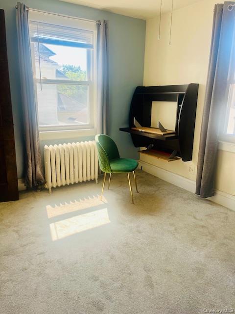 10922 Myrtle Avenue, Richmond Hill North, NY 11418