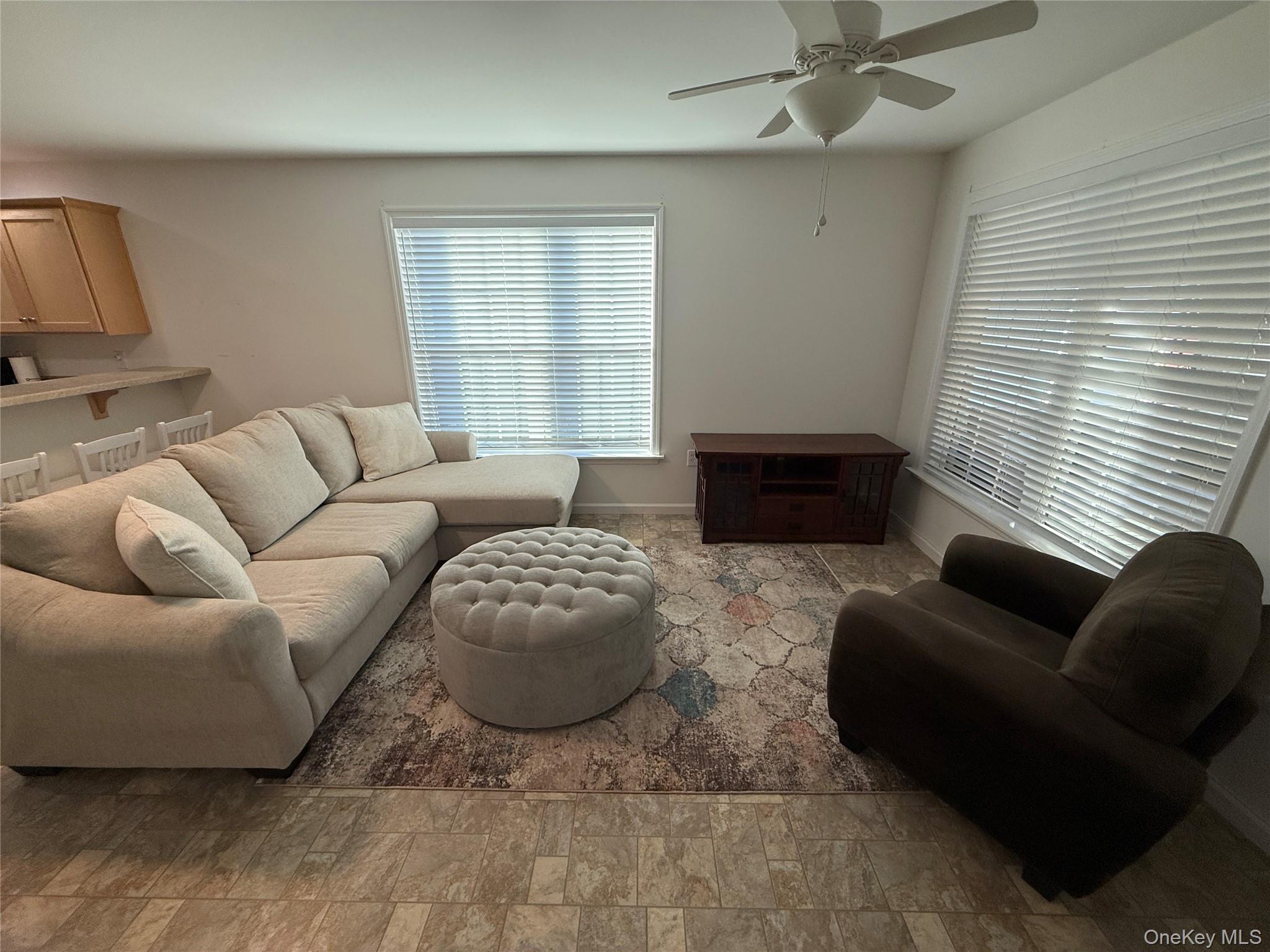 223 Brittany Terrace # 223, Rock Tavern, NY 12575