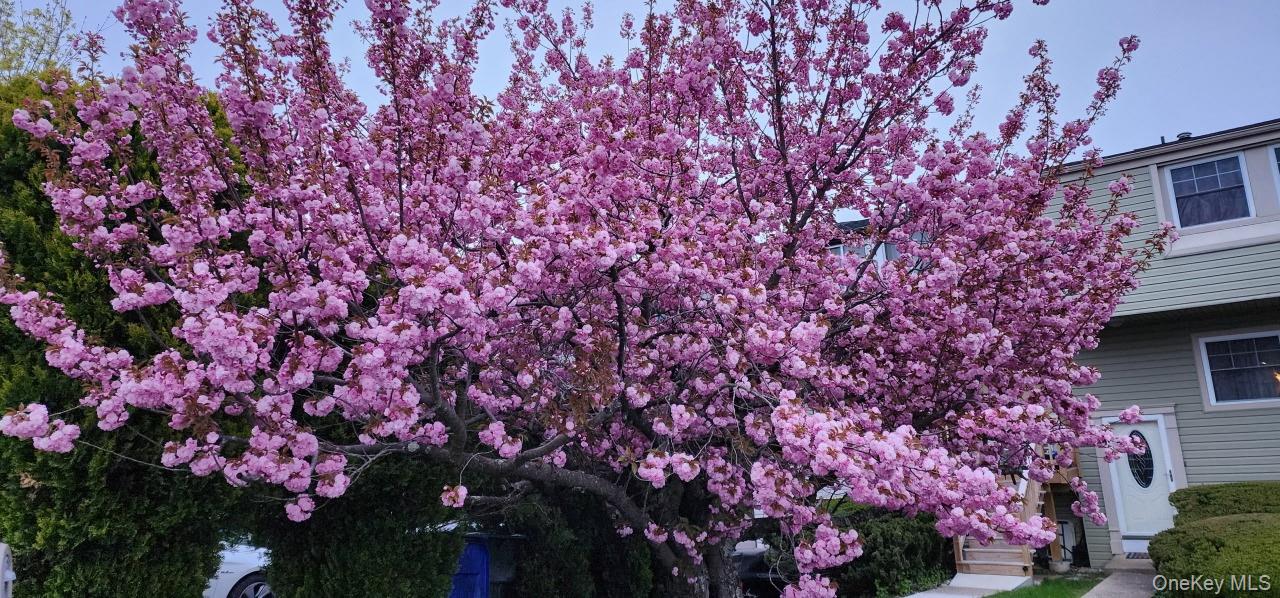 33 Red Barn Lane, Middletown, NY 10940