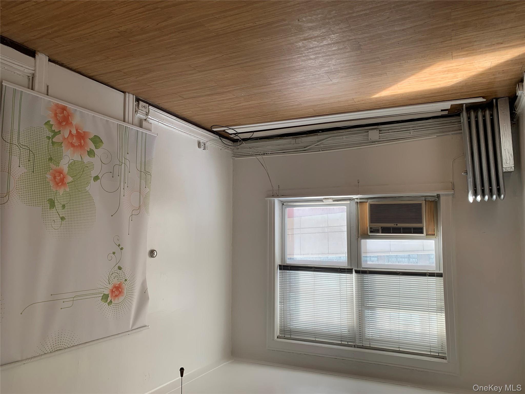 204 Station Plaza N # 204, Mineola, NY 11501