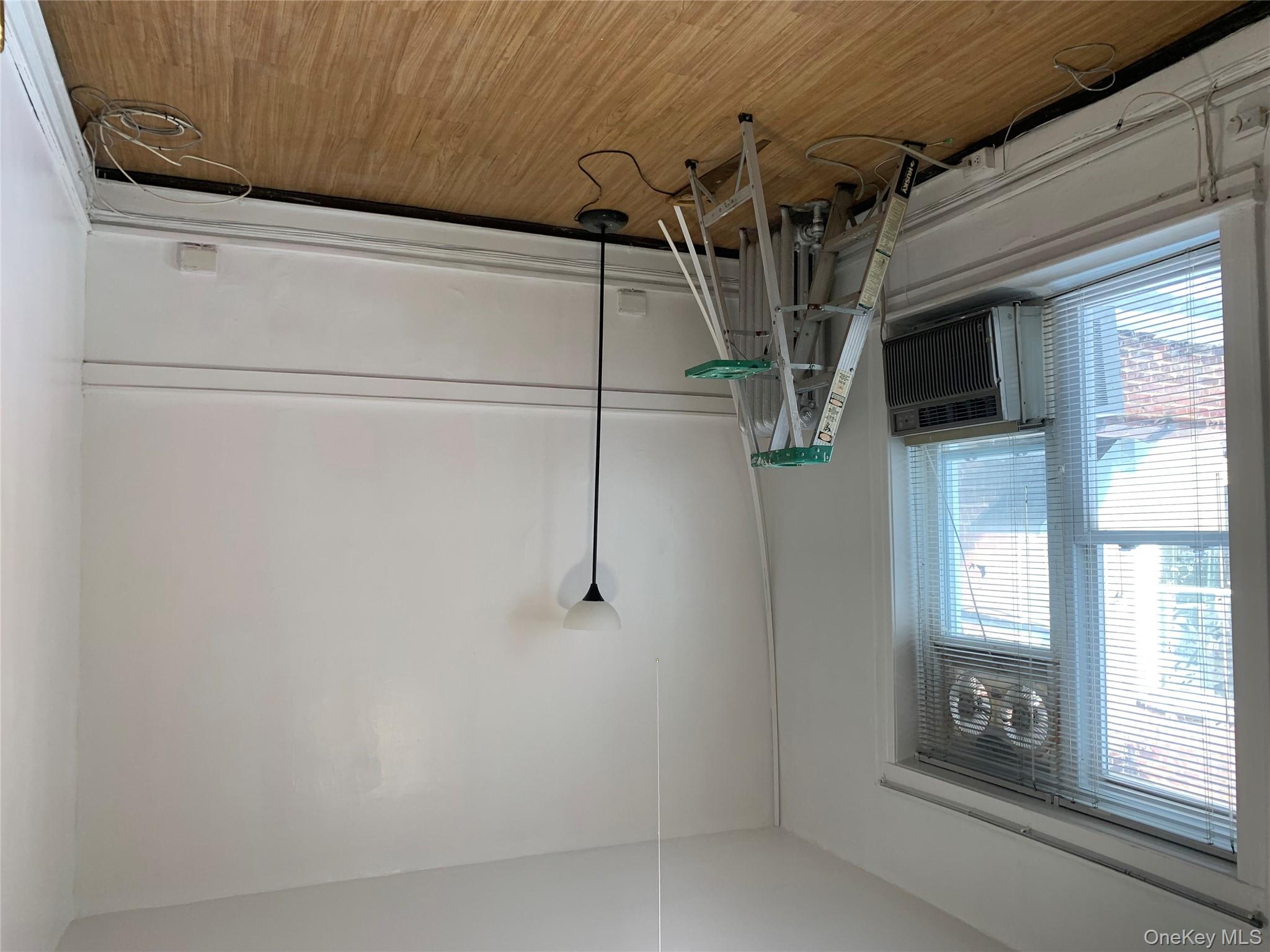 204 Station Plaza N # 204, Mineola, NY 11501