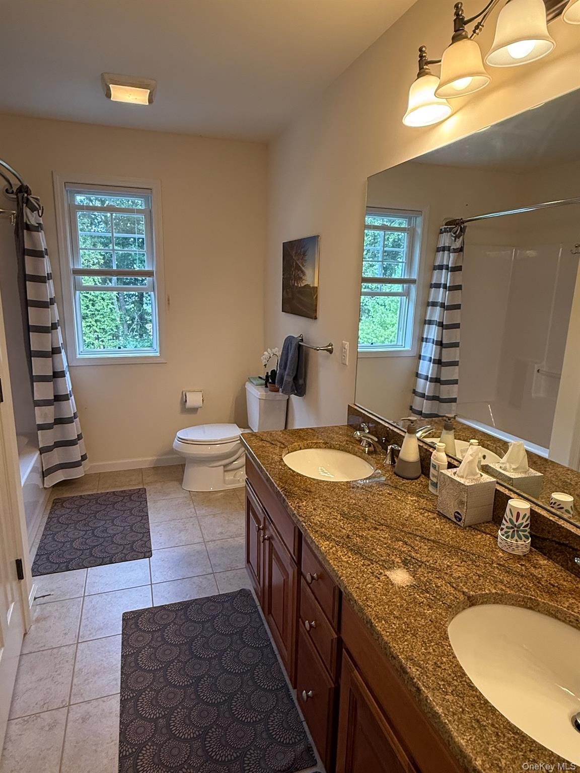 16 Ballymeade Road, Hopewell Junction, NY 12533