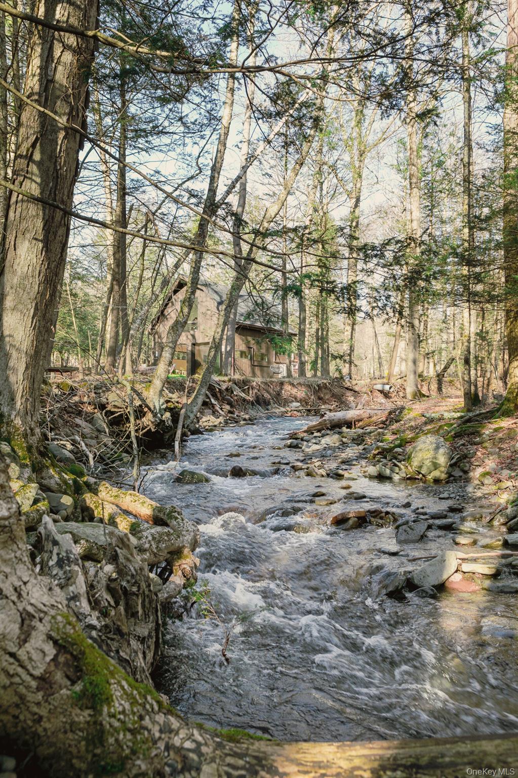 241 Silver Hollow Road, Willow, NY 12495