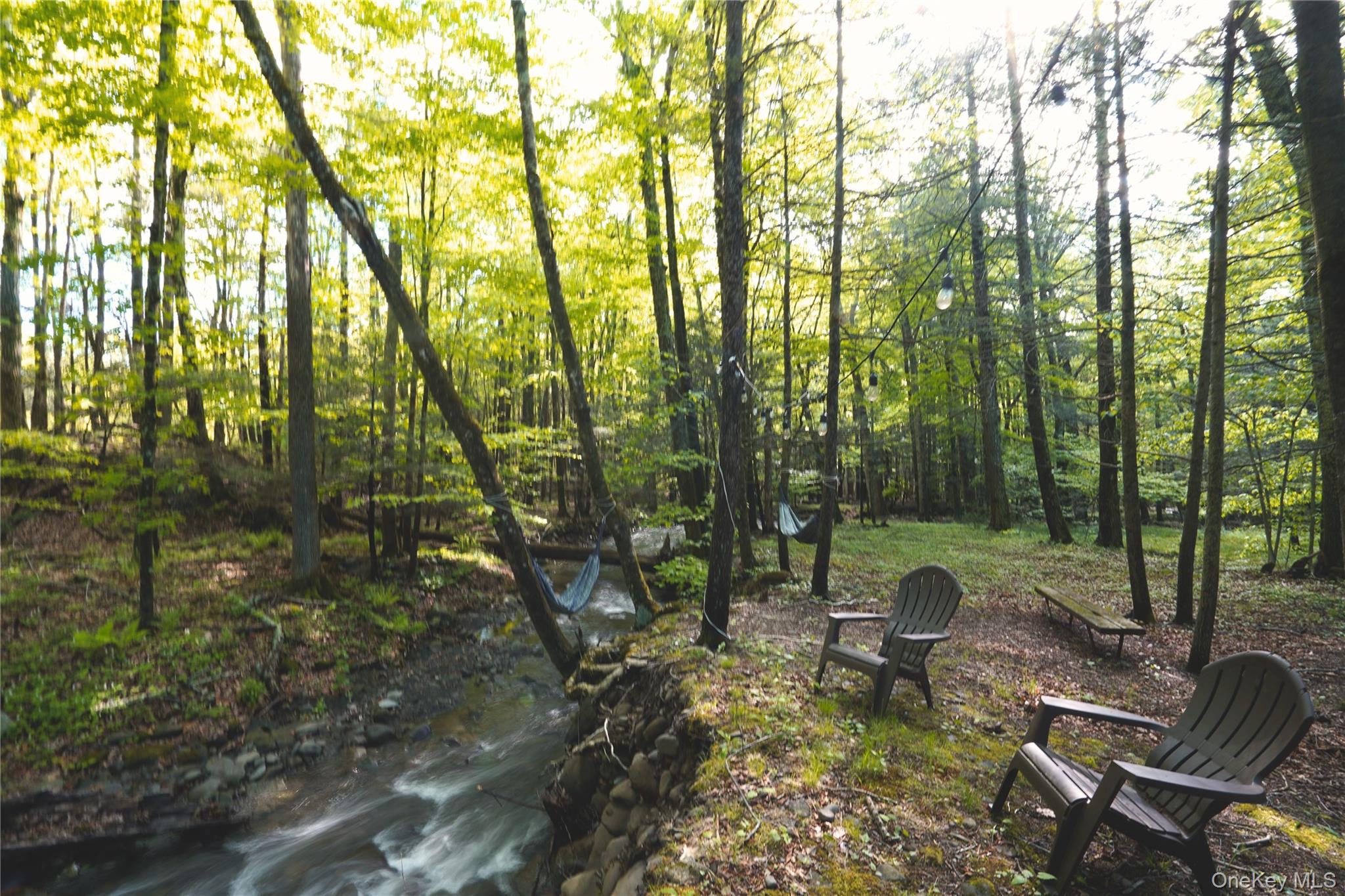 241 Silver Hollow Road, Willow, NY 12495