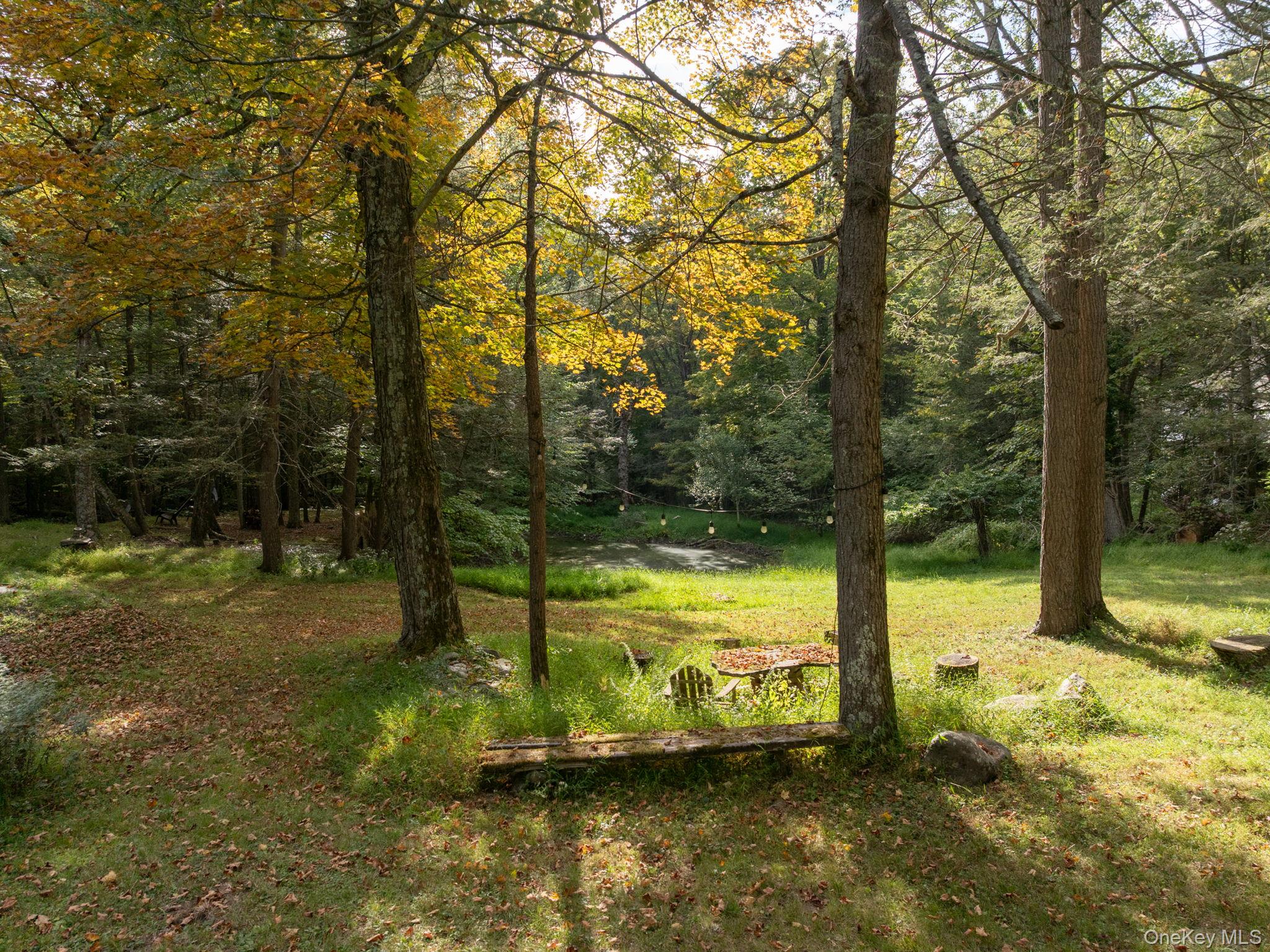 241 Silver Hollow Road, Willow, NY 12495