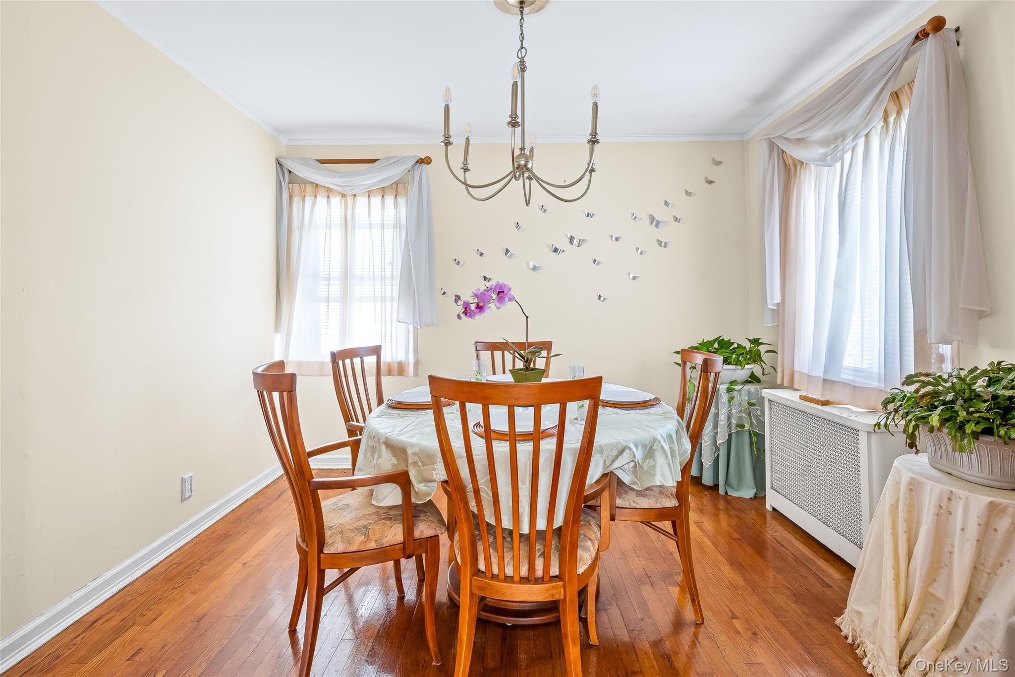 116 Stone Street, Elmont, NY 11003