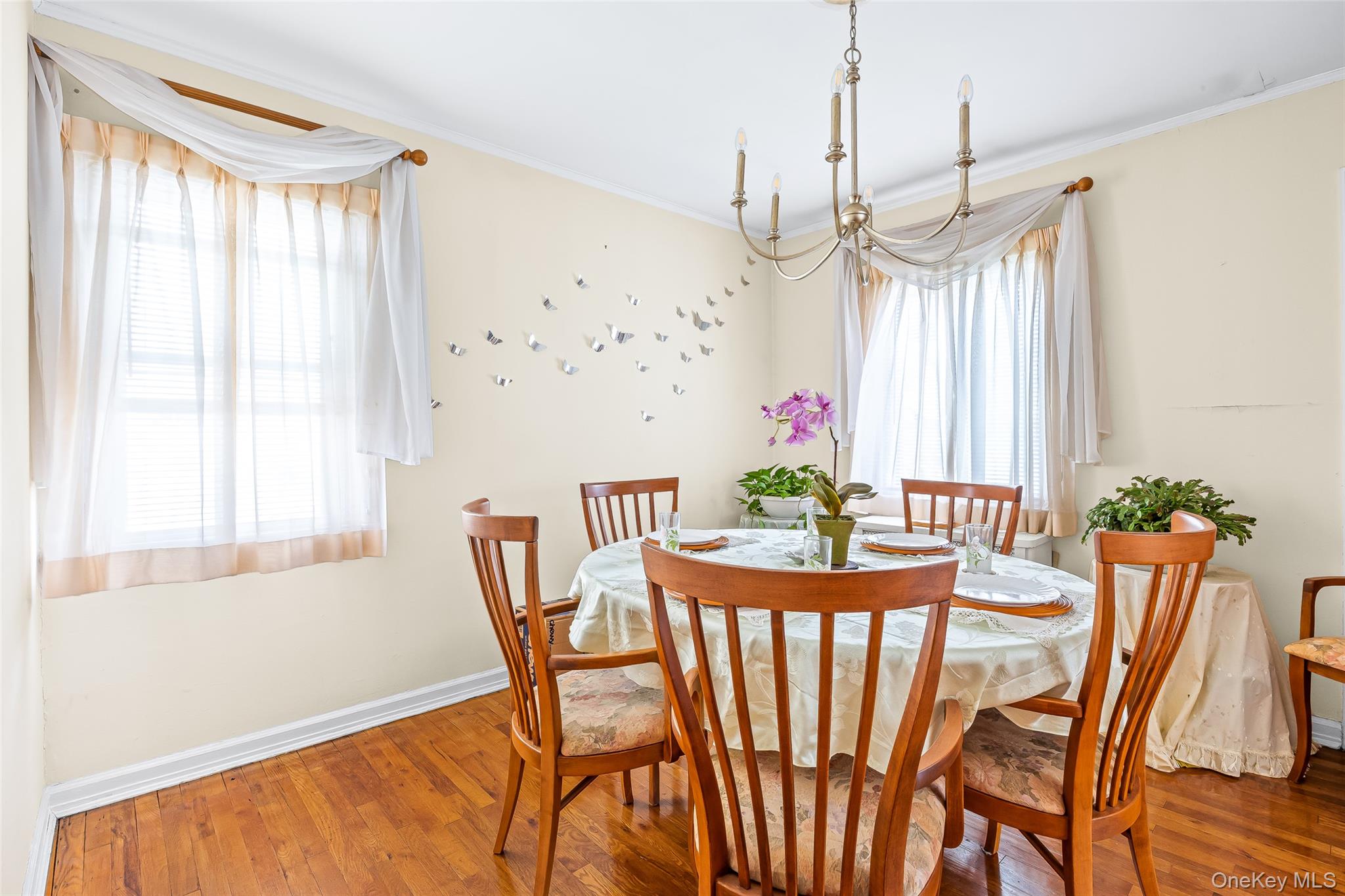 116 Stone Street, Elmont, NY 11003