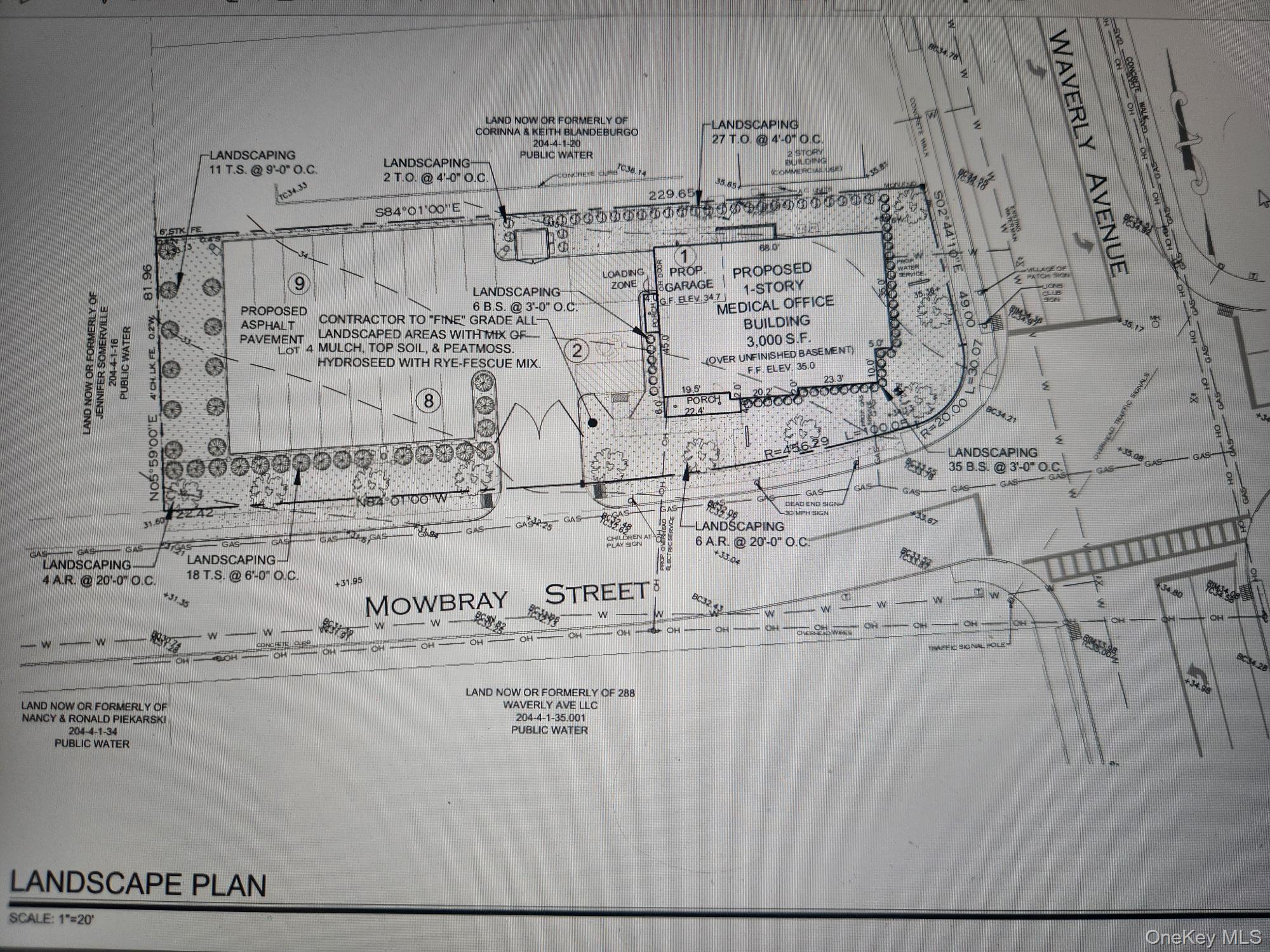 Waverly Avenue, Patchogue, NY 11772