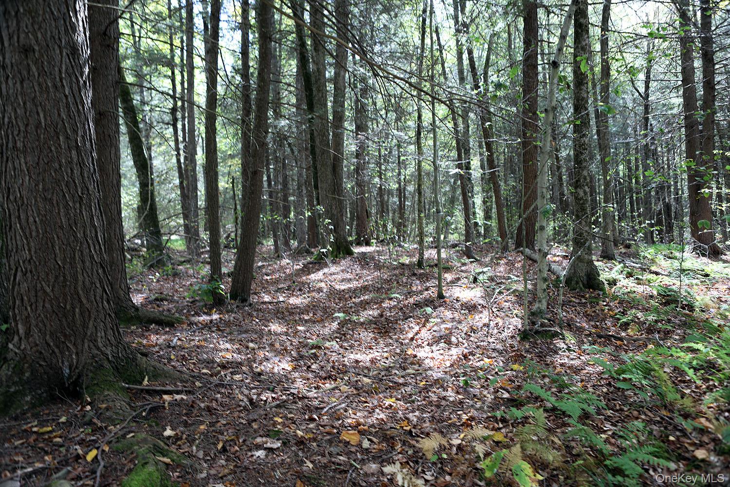 0 Rt-97, Long Eddy, NY 13783