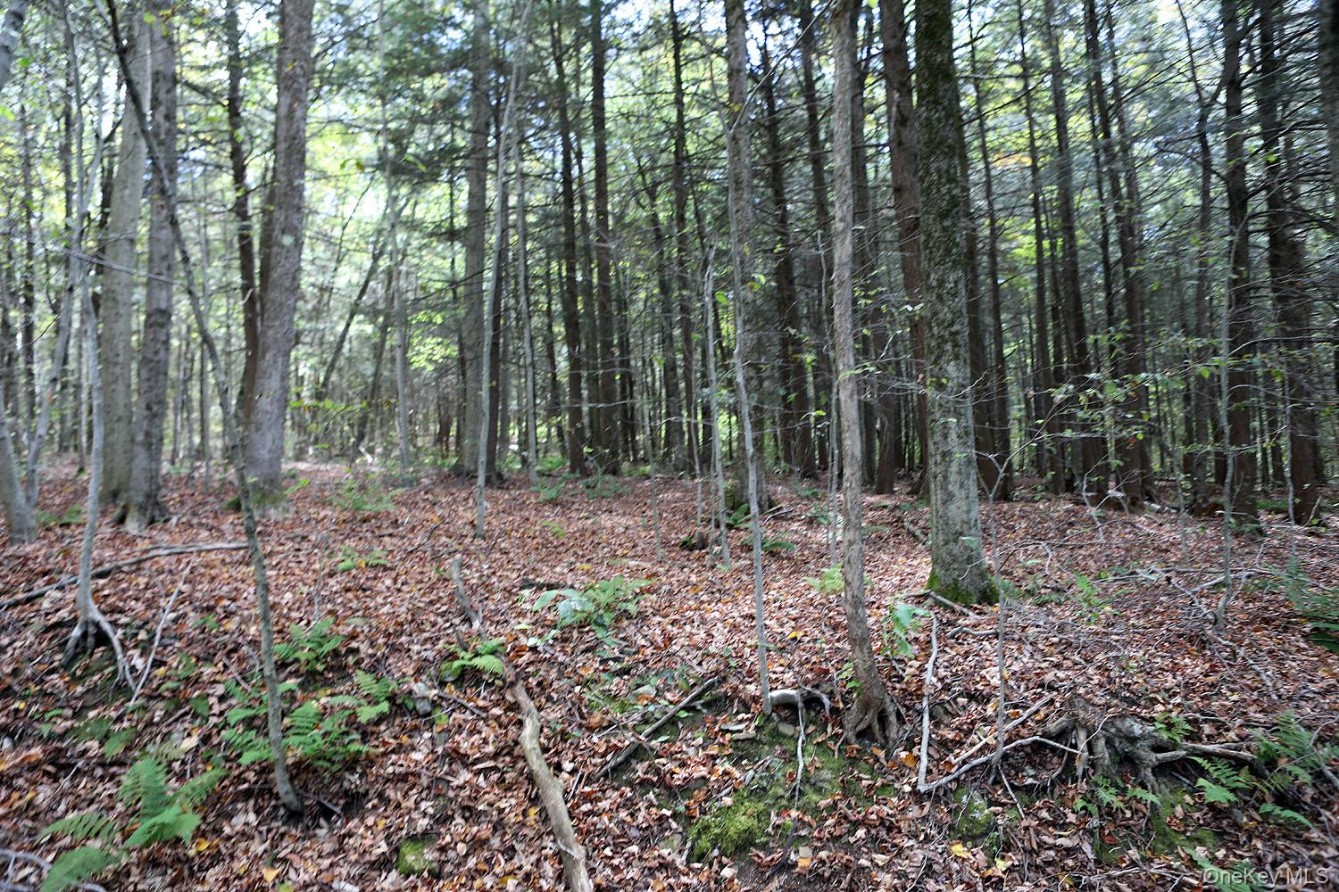 0 Rt-97, Long Eddy, NY 13783